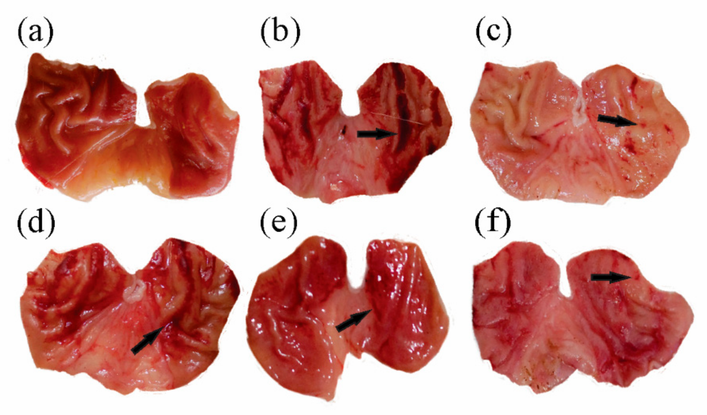 Molecules 27 04368 g002 Molecules 27 04368 g002