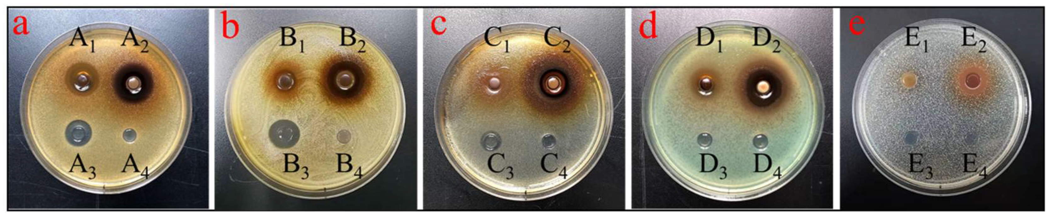 Molecules 27 04379 g006