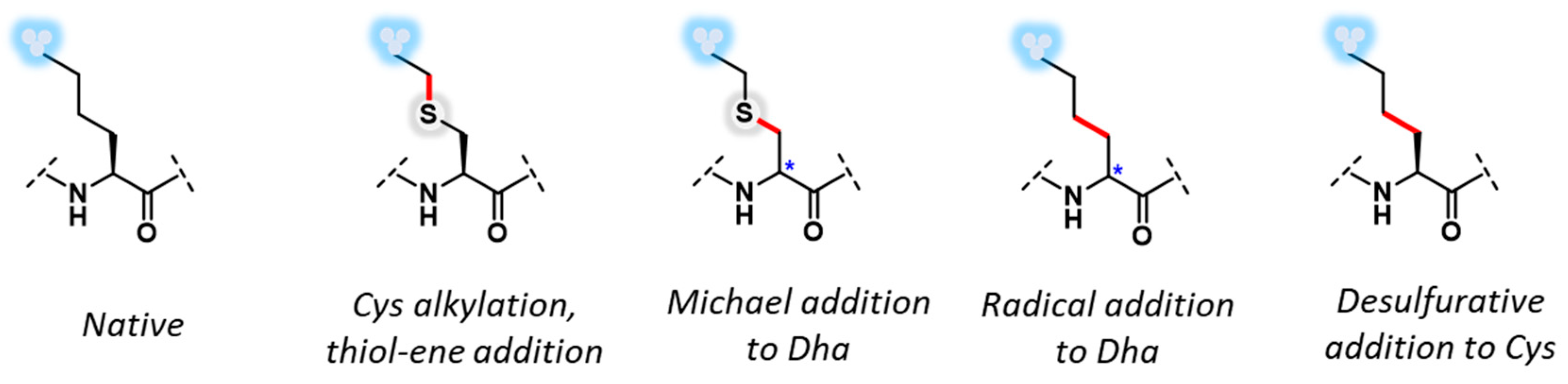 Molecules 27 04389 g005