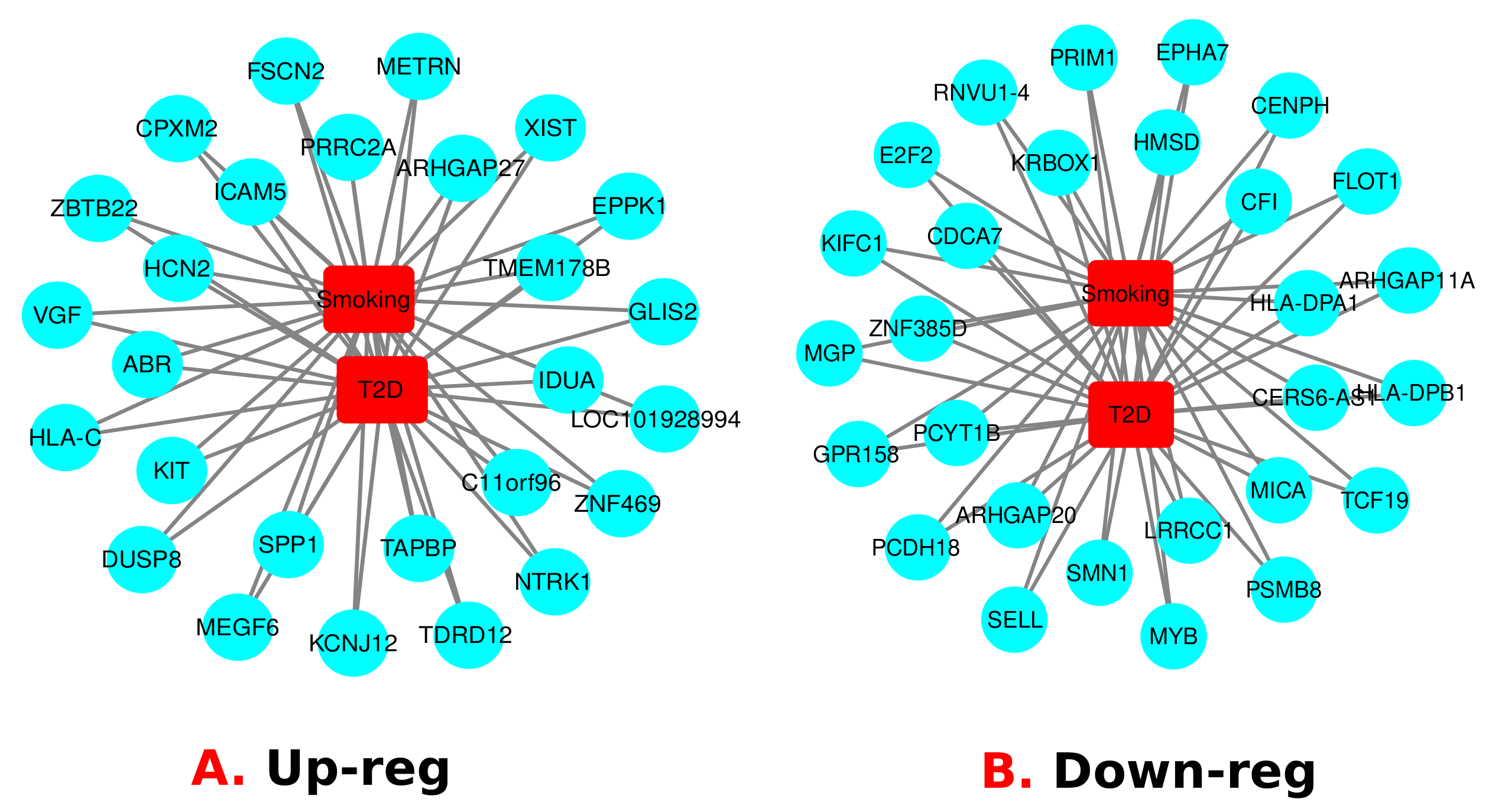 Molecules 27 04390 g003