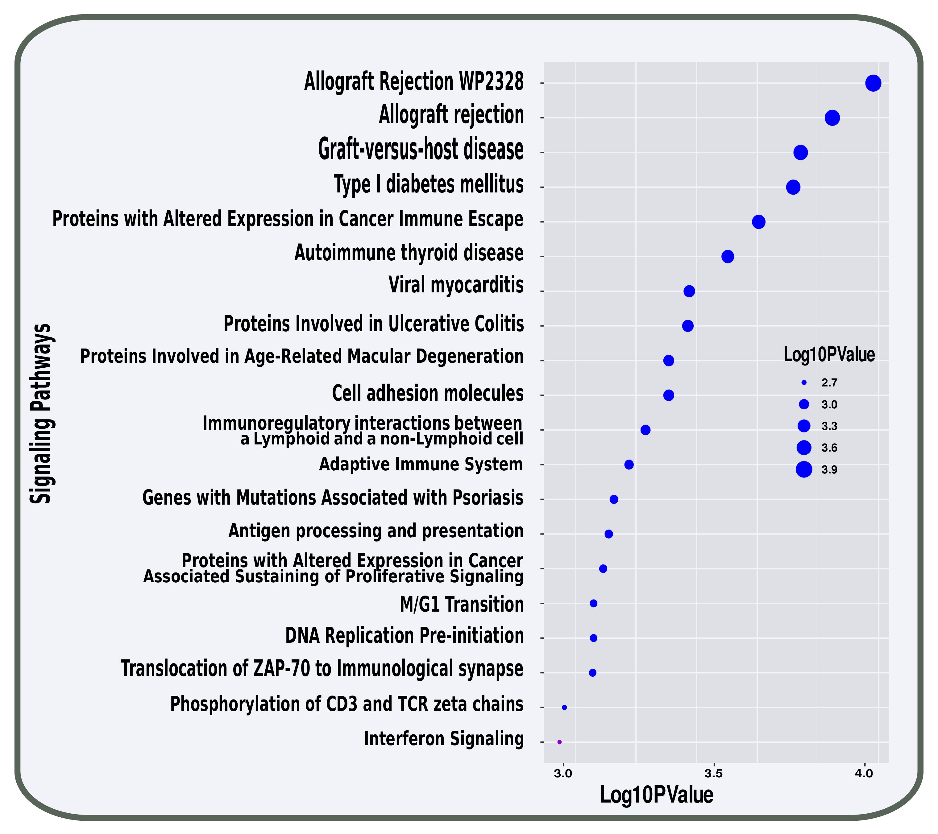 Molecules 27 04390 g004