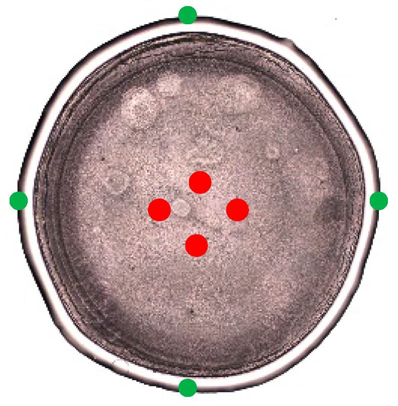 Molecules 27 04405 g003