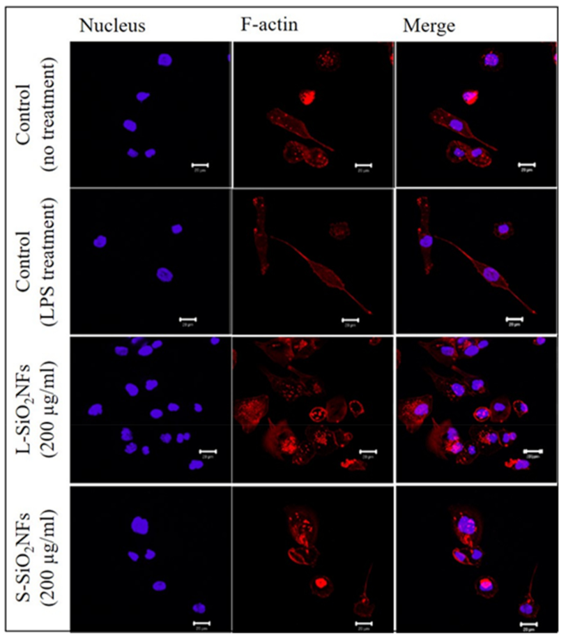 Molecules 27 04456 g005