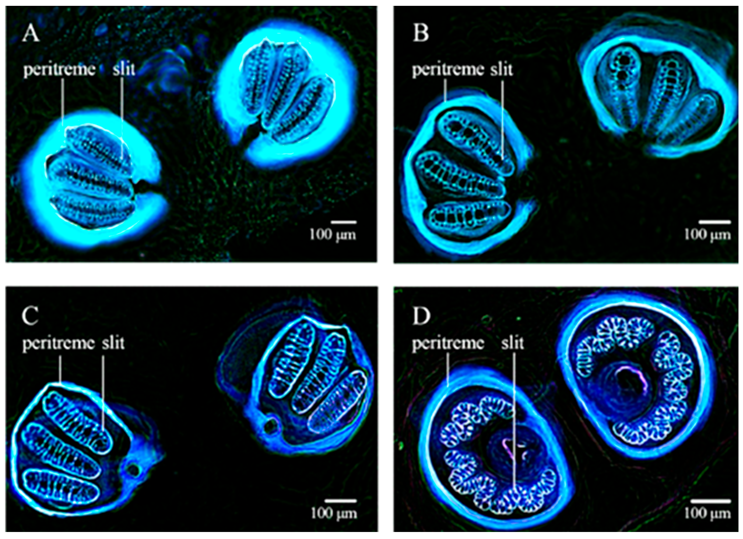 Molecules 27 04458 g011 Molecules 27 04458 g011