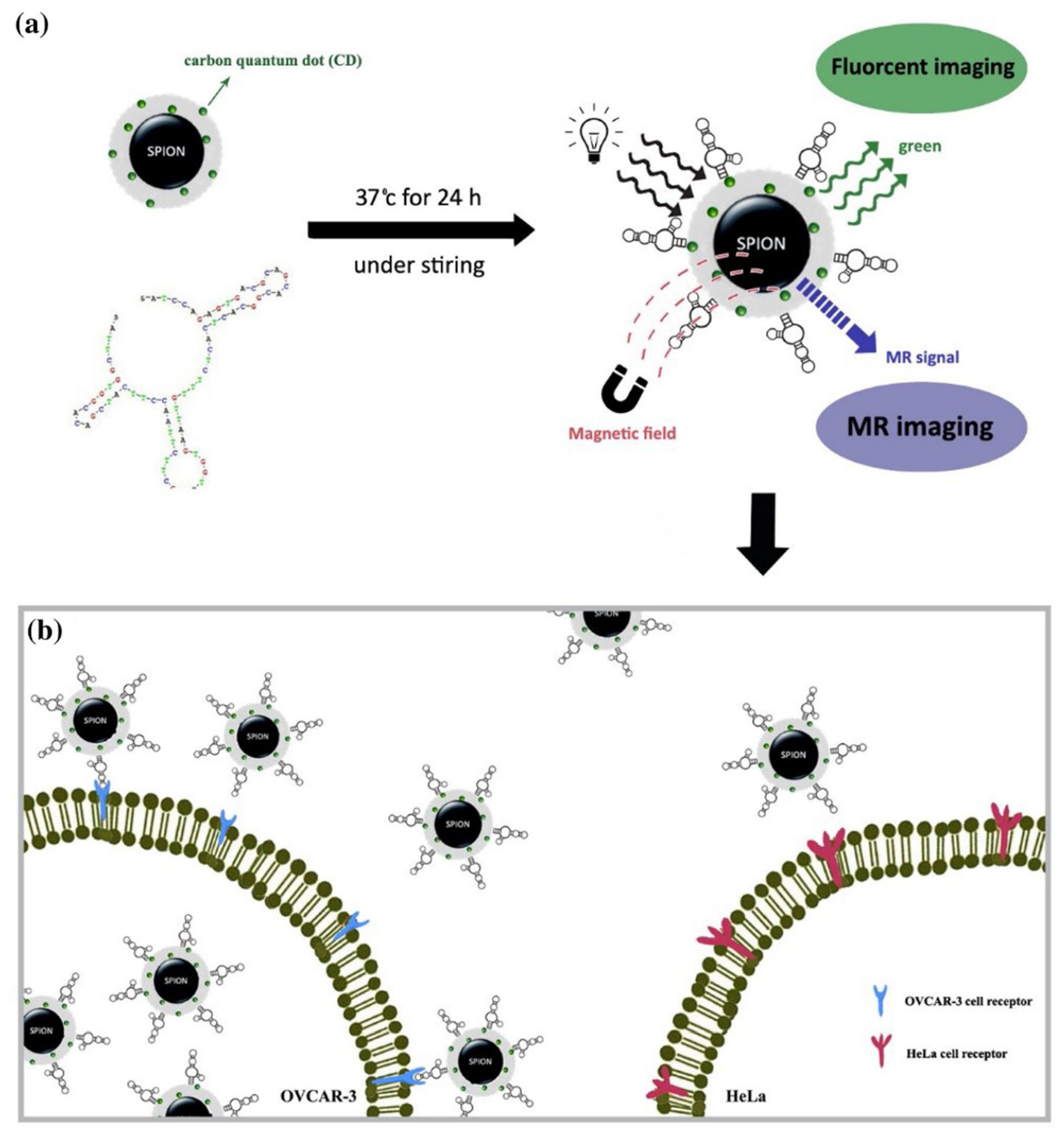 Molecules 27 04465 g003