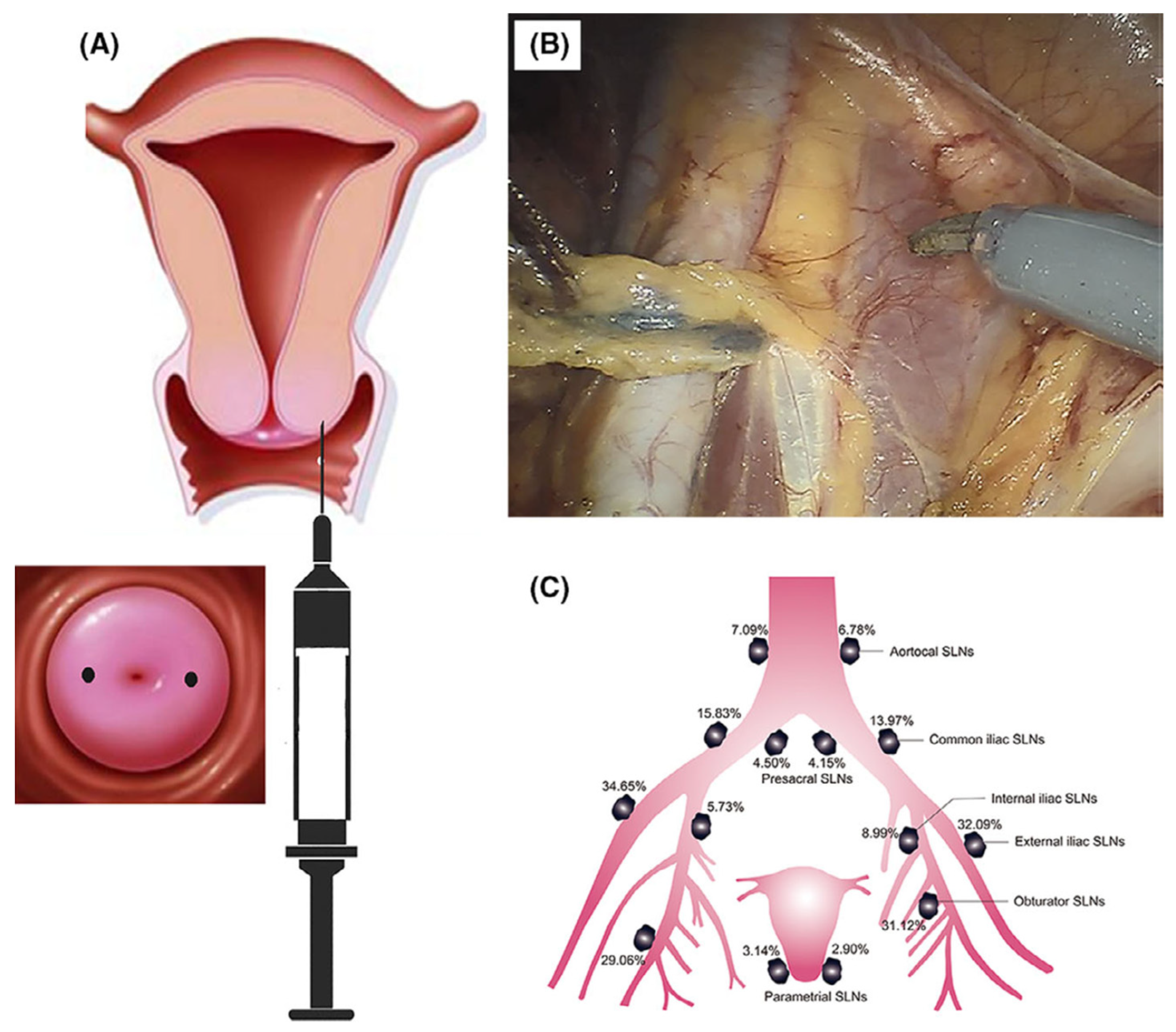 Molecules 27 04465 g004
