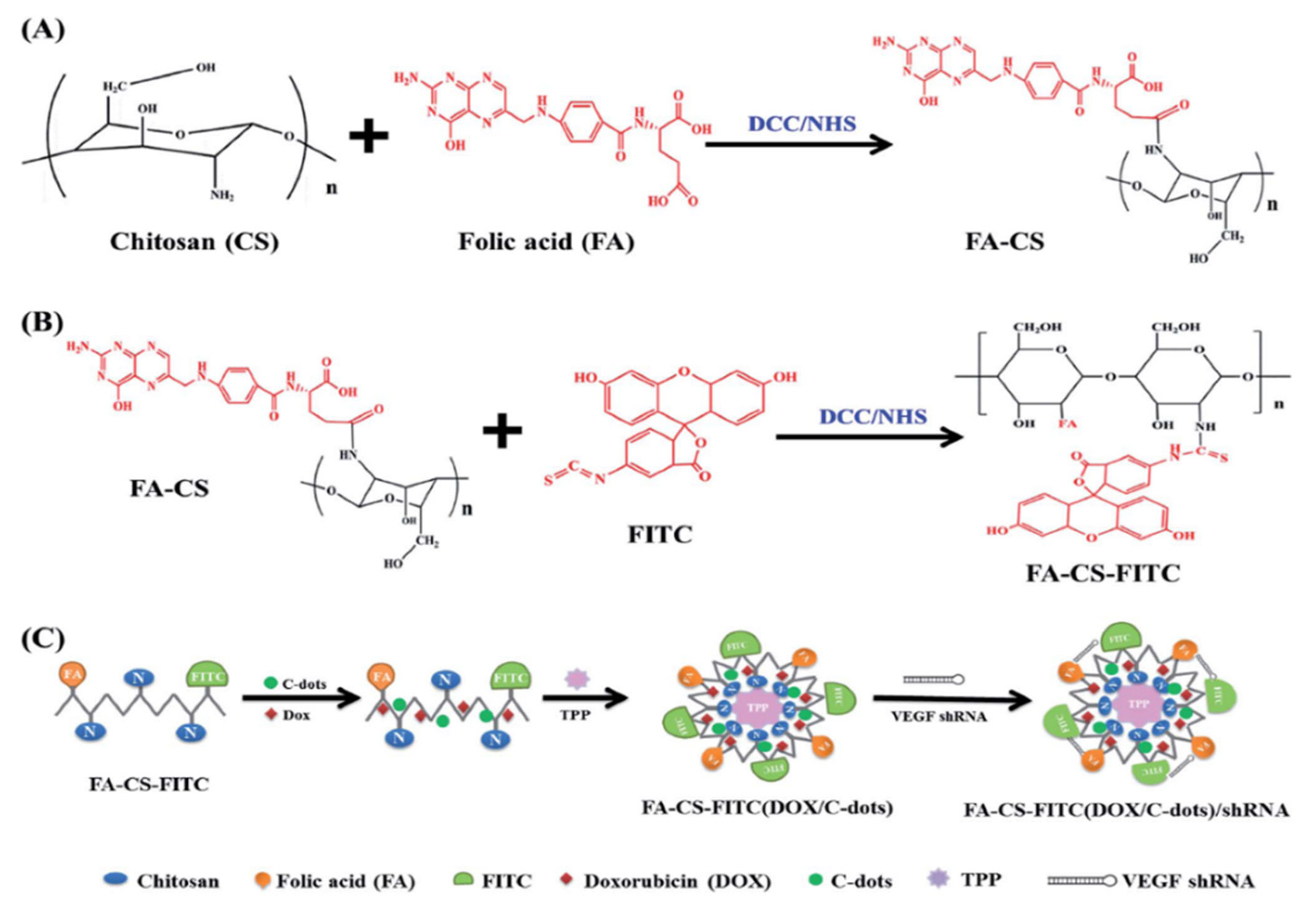 Molecules 27 04465 g006