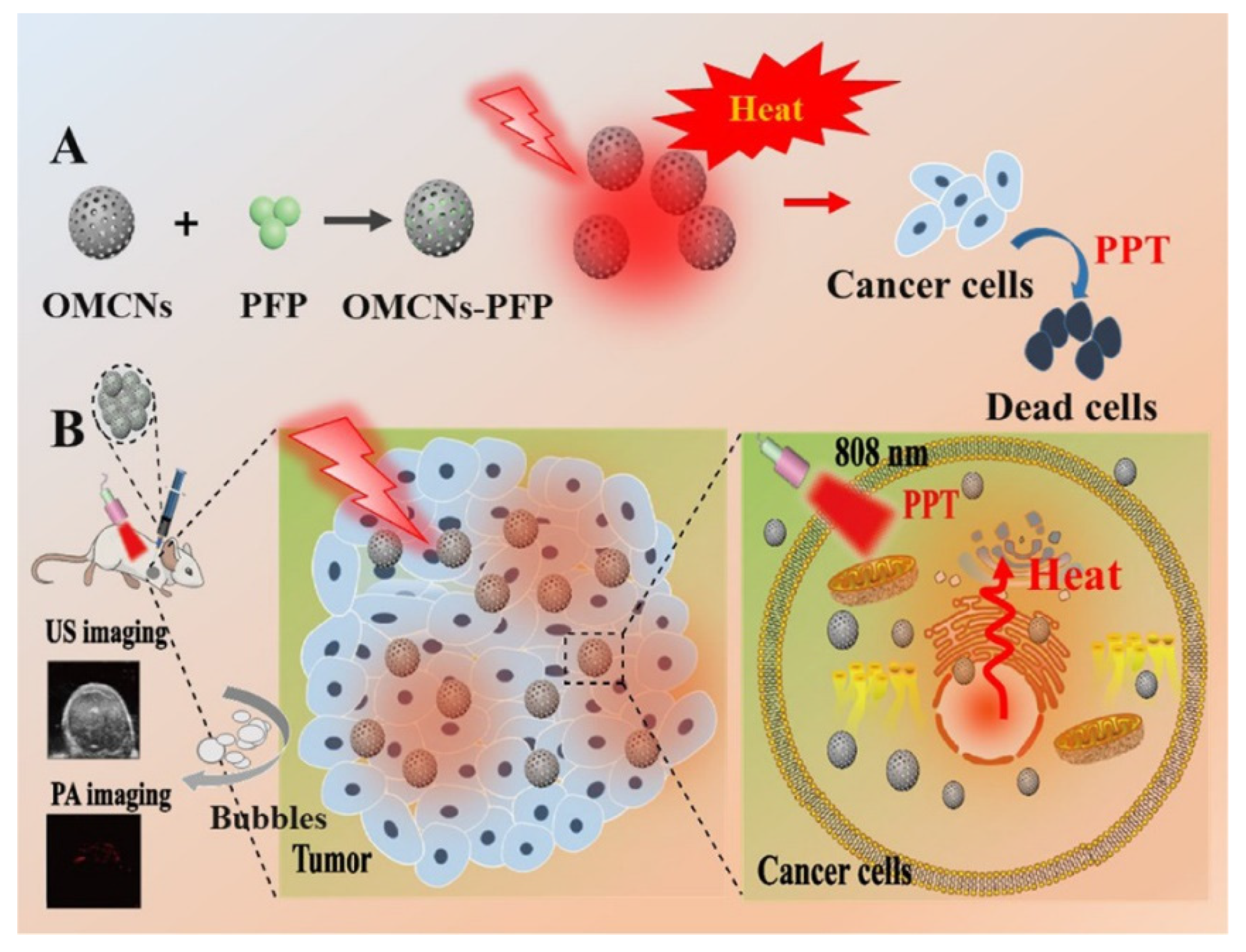 Molecules 27 04465 g007