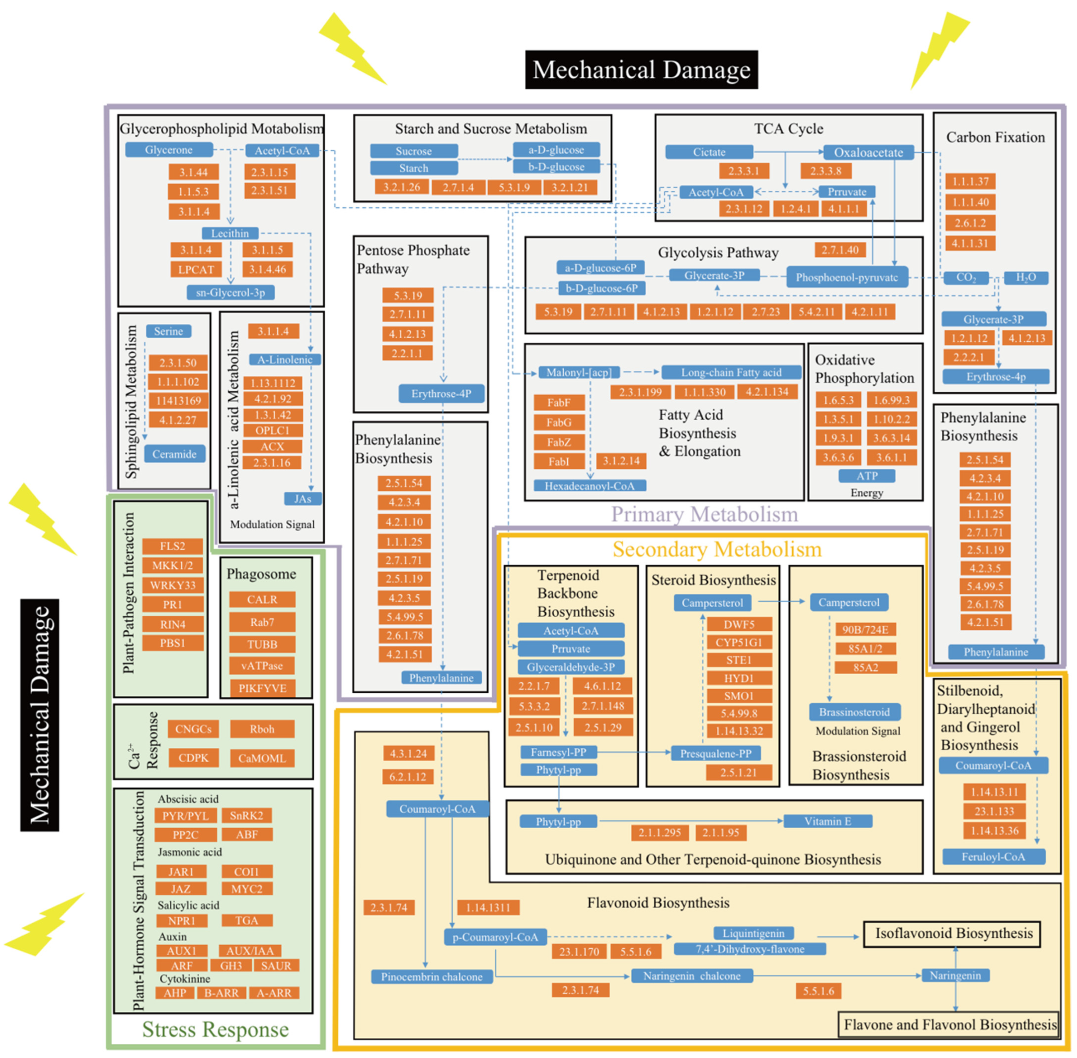 Molecules 27 04514 g003