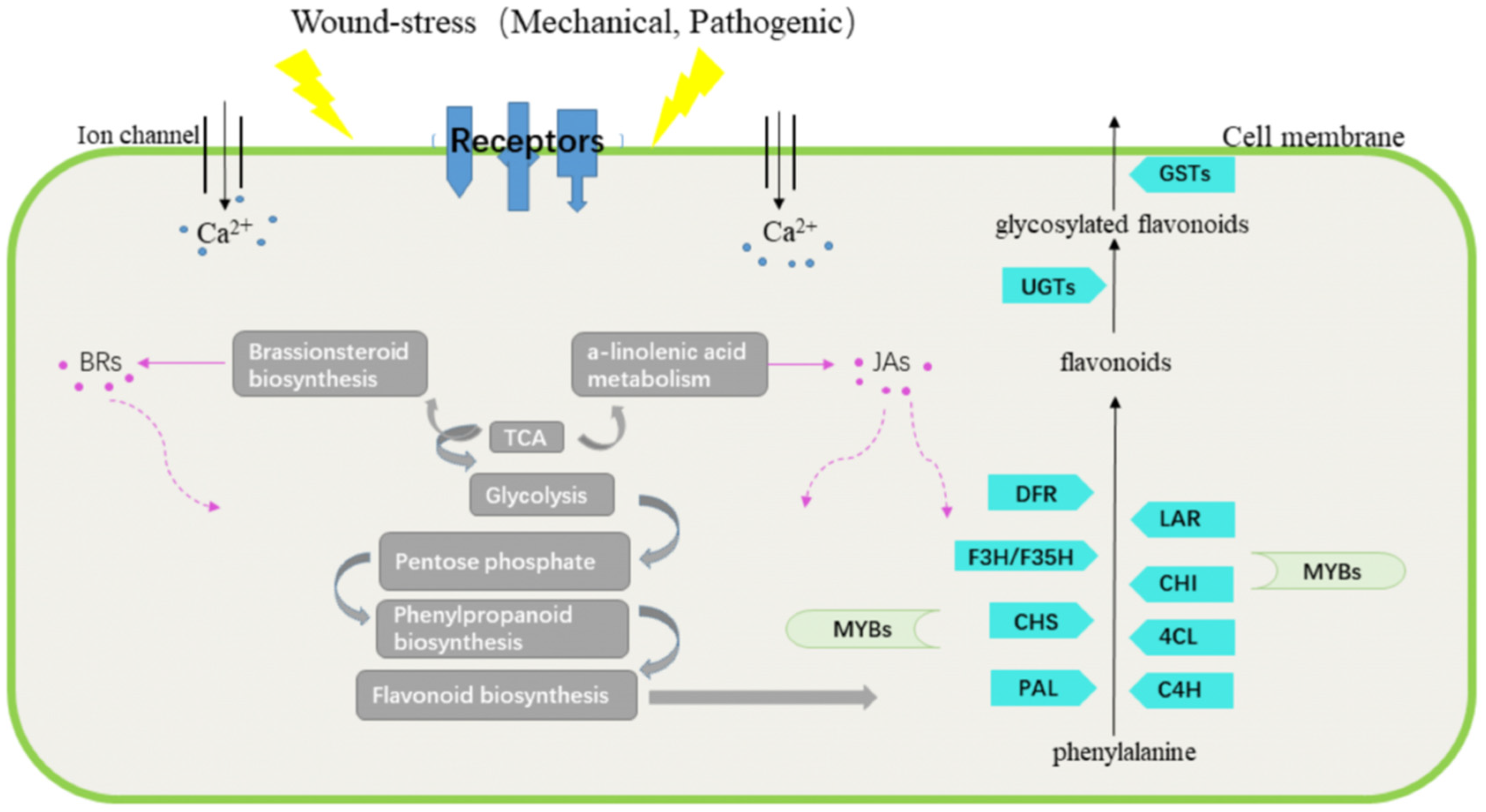 Molecules 27 04514 g008
