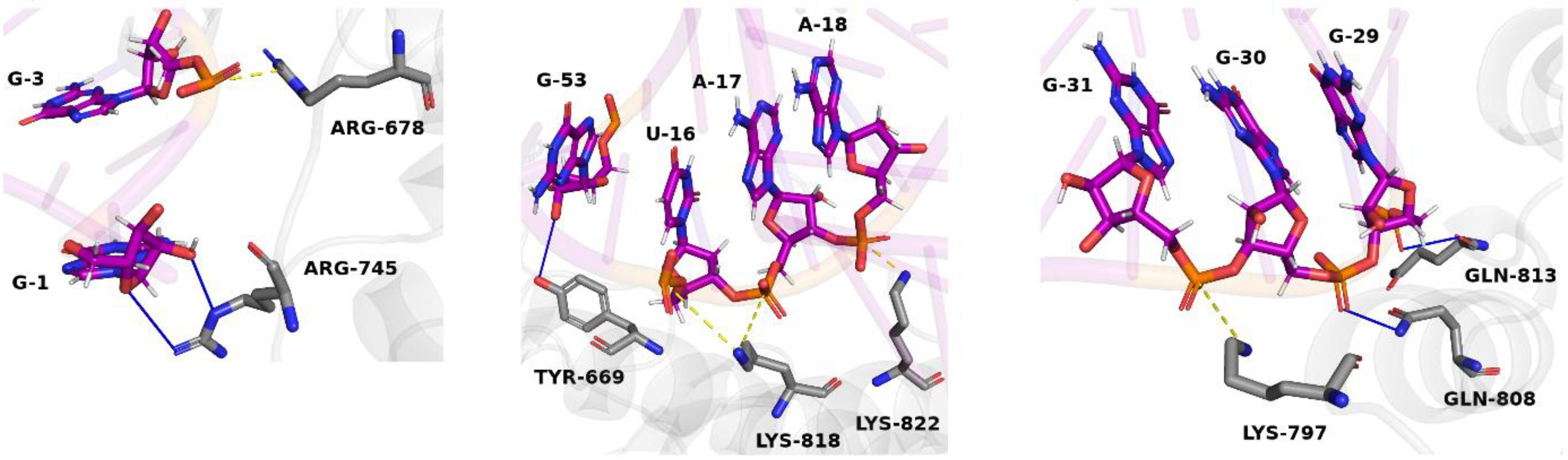 Molecules 27 04518 g004