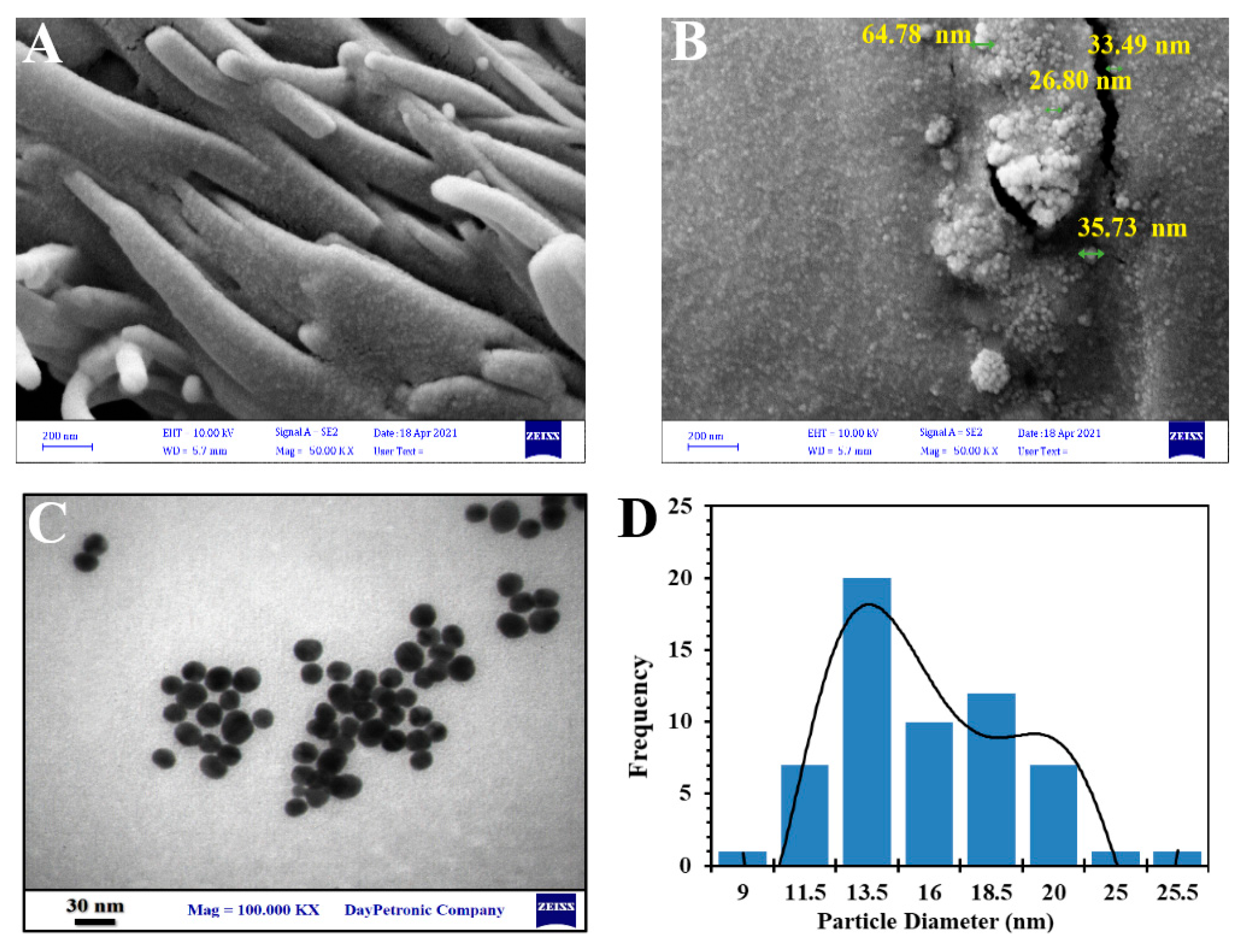 Molecules 27 04521 g006 Molecules 27 04521 g006