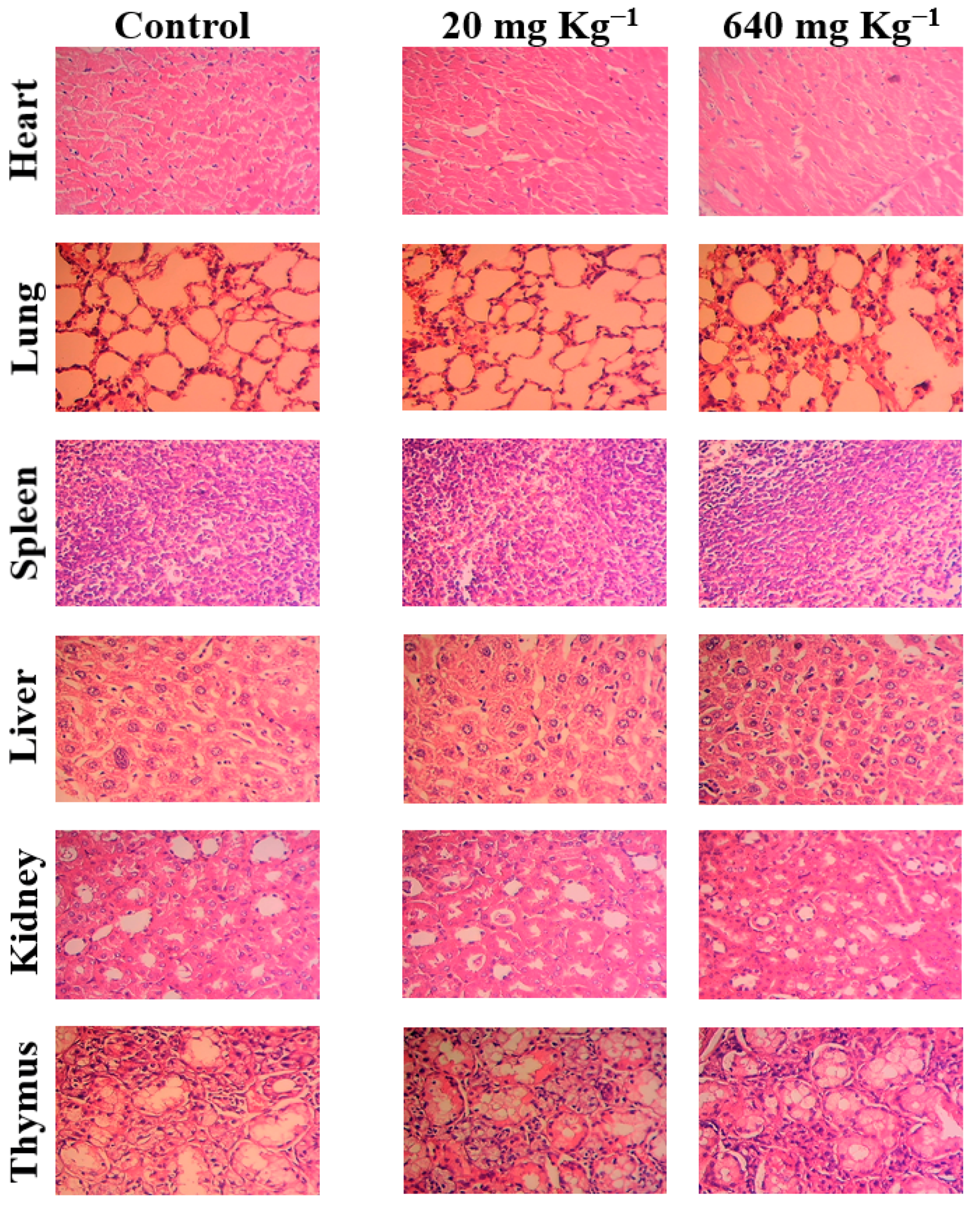 Molecules 27 04521 g013 Molecules 27 04521 g013