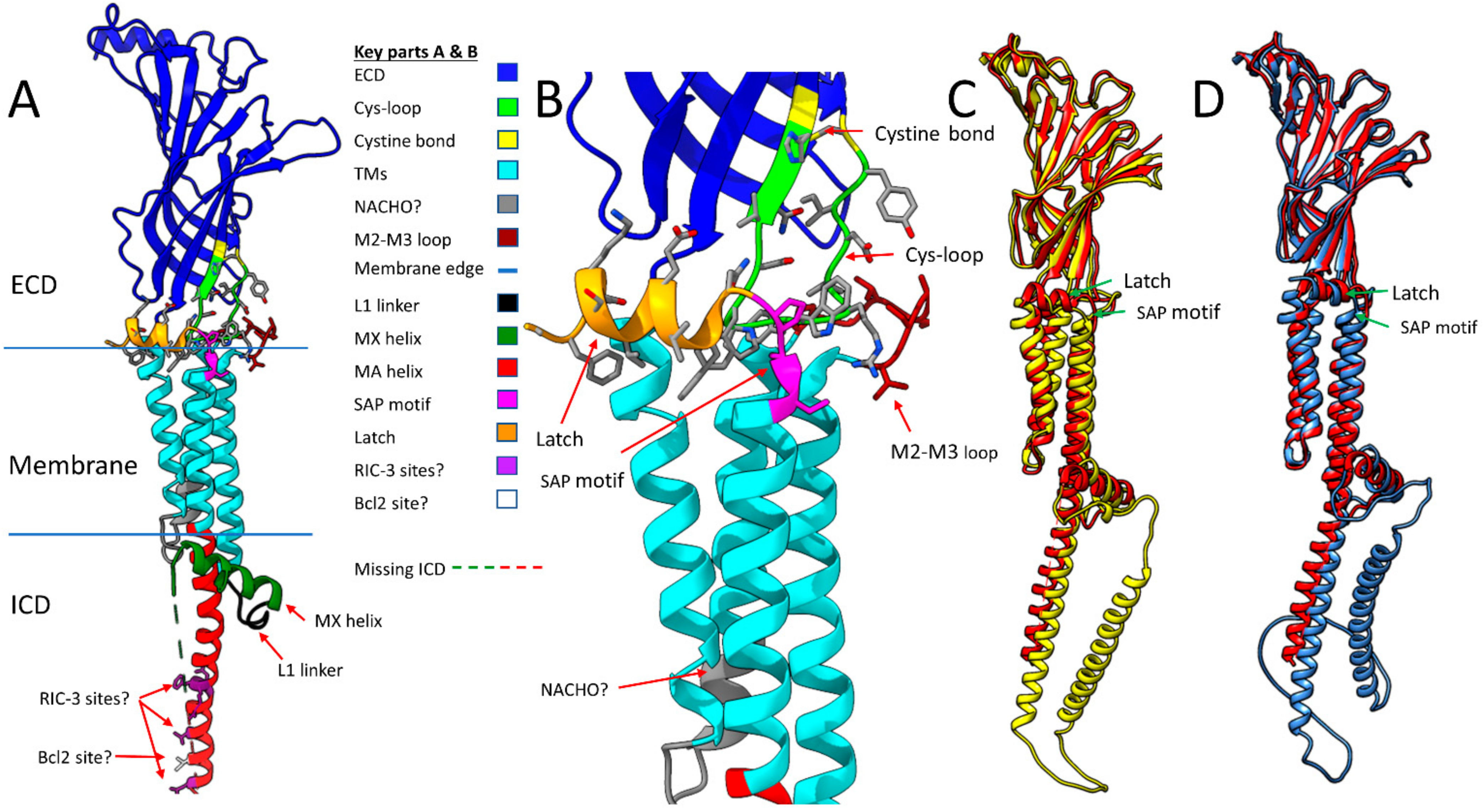 Molecules 27 04527 g002a