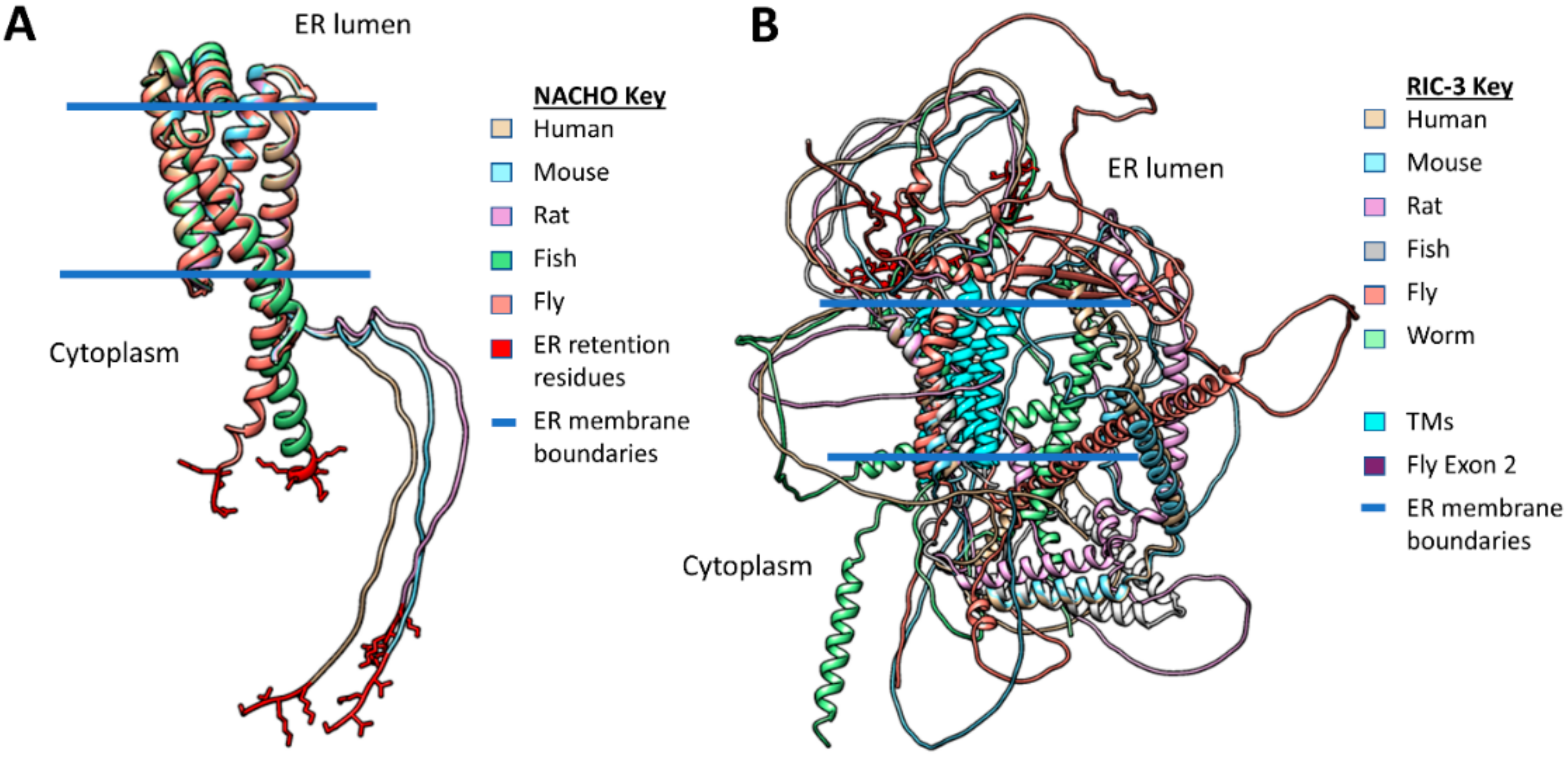 Molecules 27 04527 g004