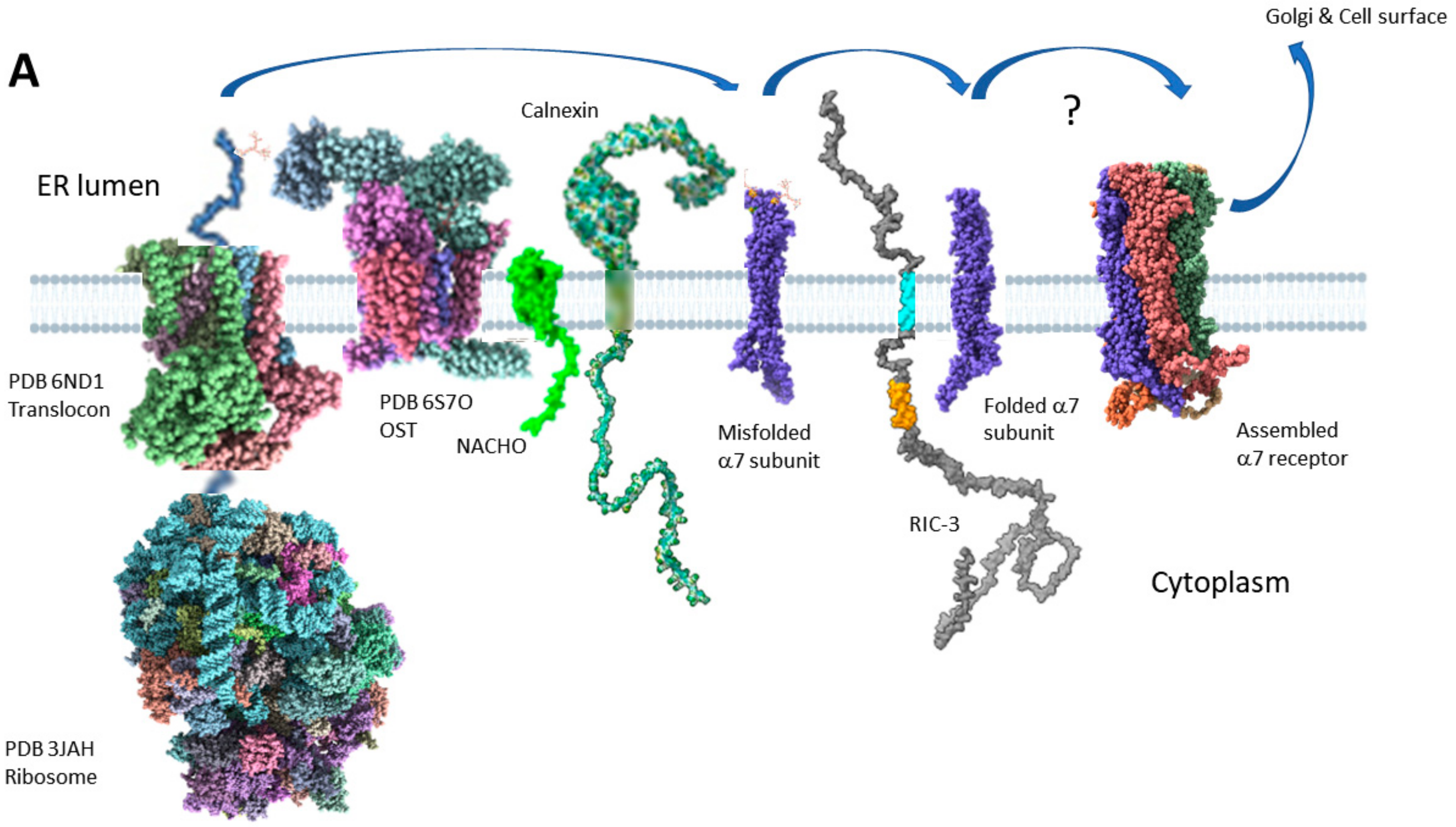 Molecules 27 04527 g006a