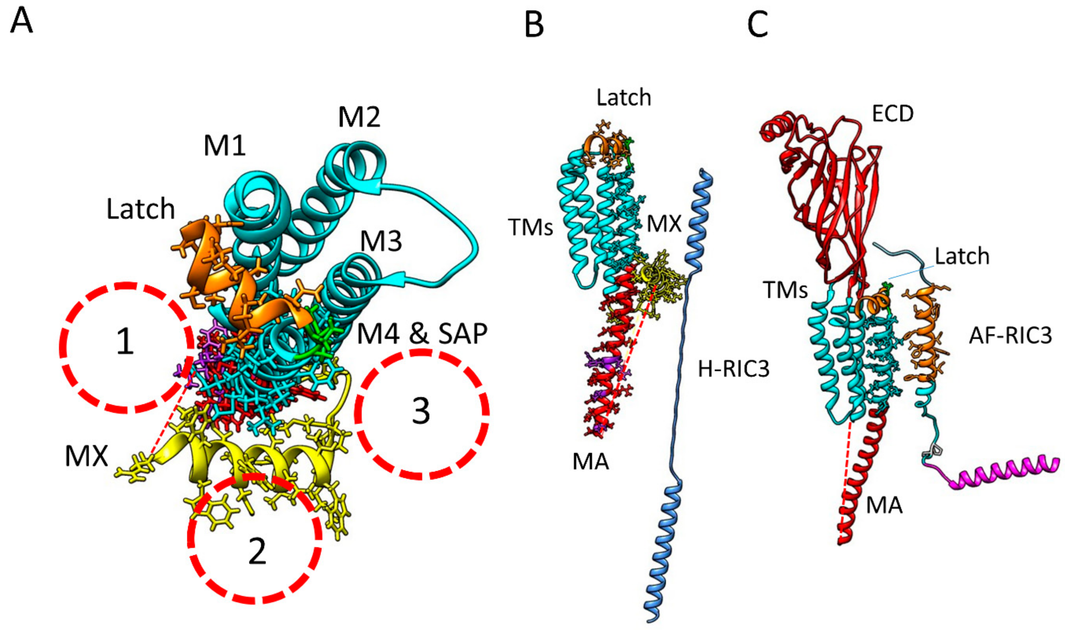 Molecules 27 04527 g007