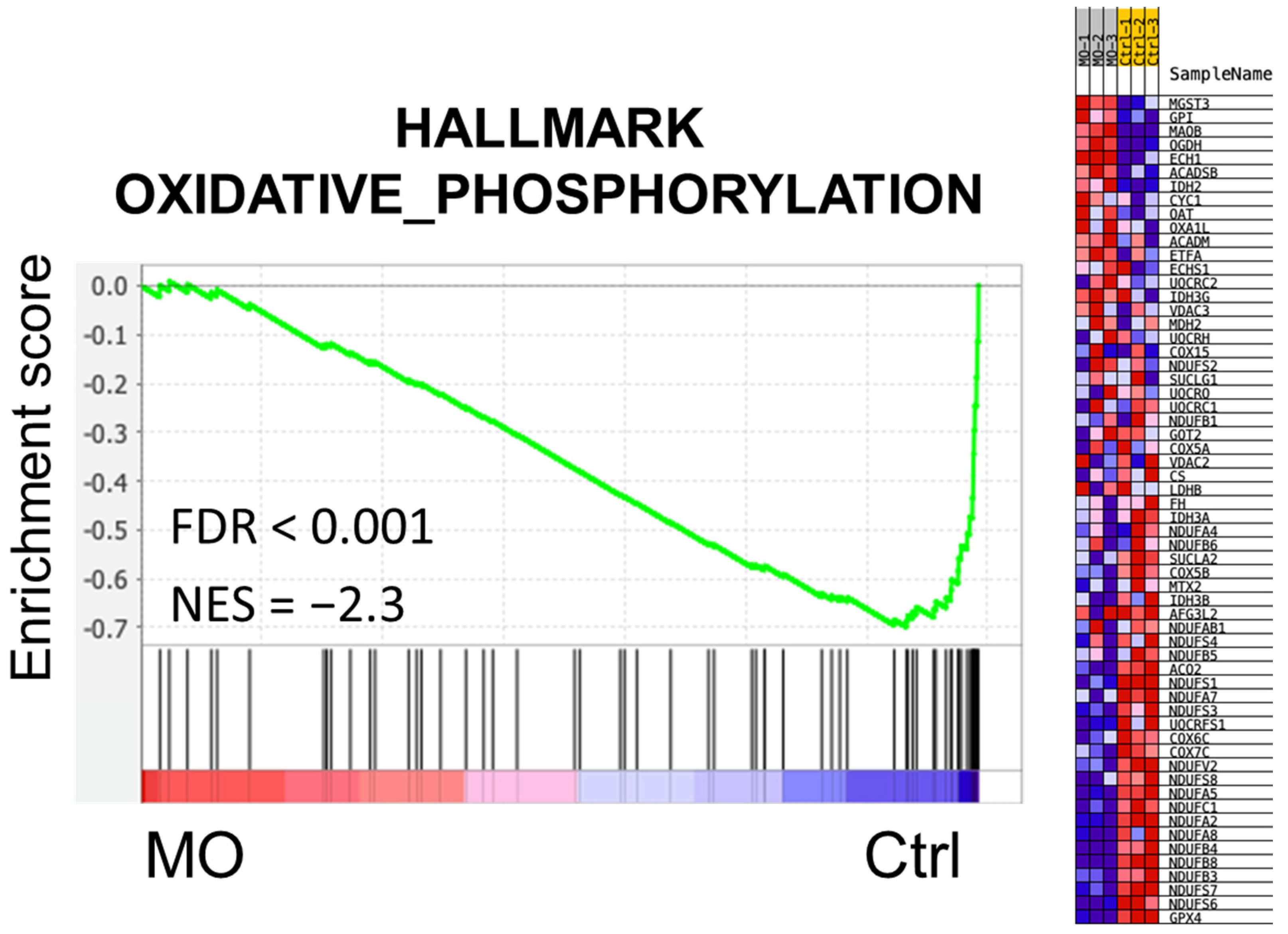Molecules 27 04533 g004 Molecules 27 04533 g004