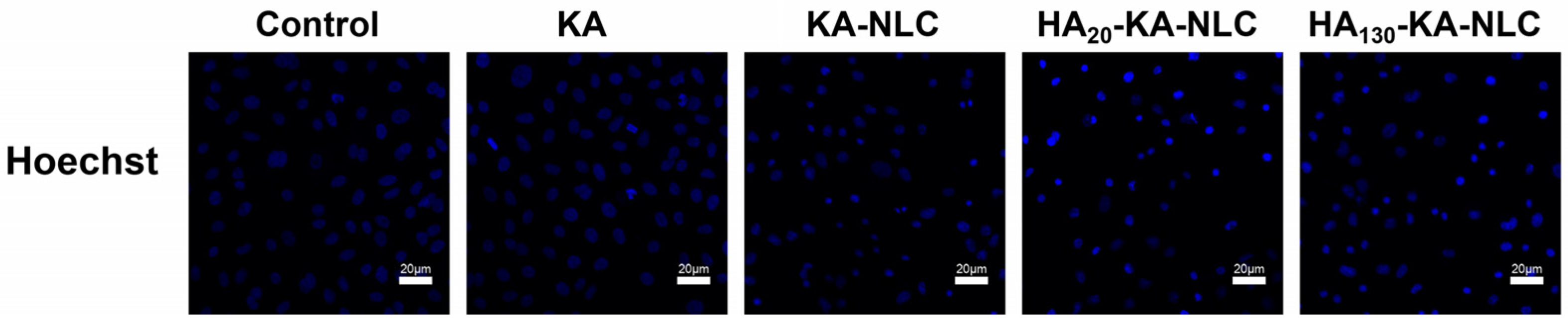 Molecules 27 04553 g012 Molecules 27 04553 g012