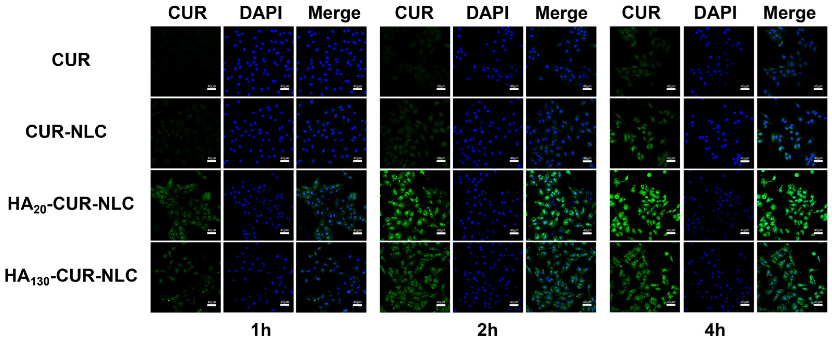 Molecules 27 04553 g013 Molecules 27 04553 g013