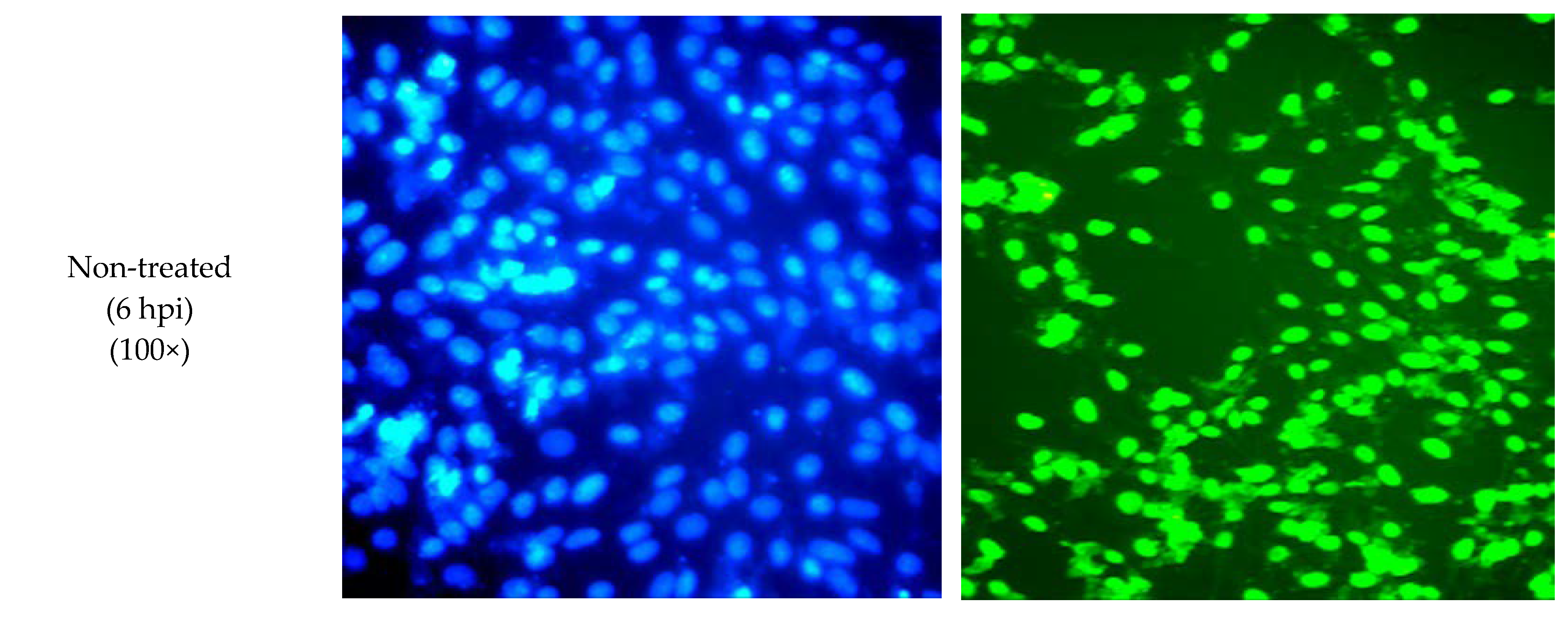 Molecules 27 04566 g008b