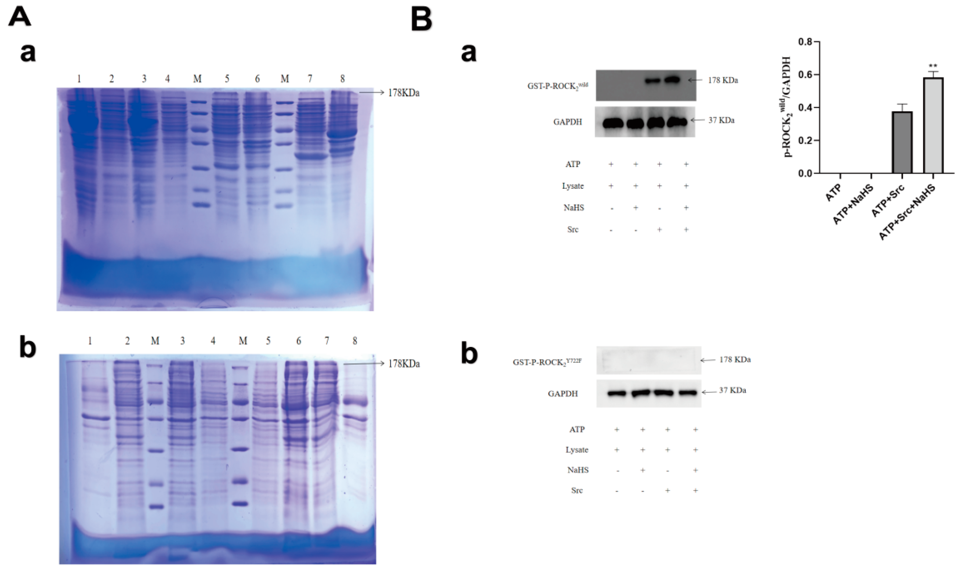 Molecules 27 04567 g001