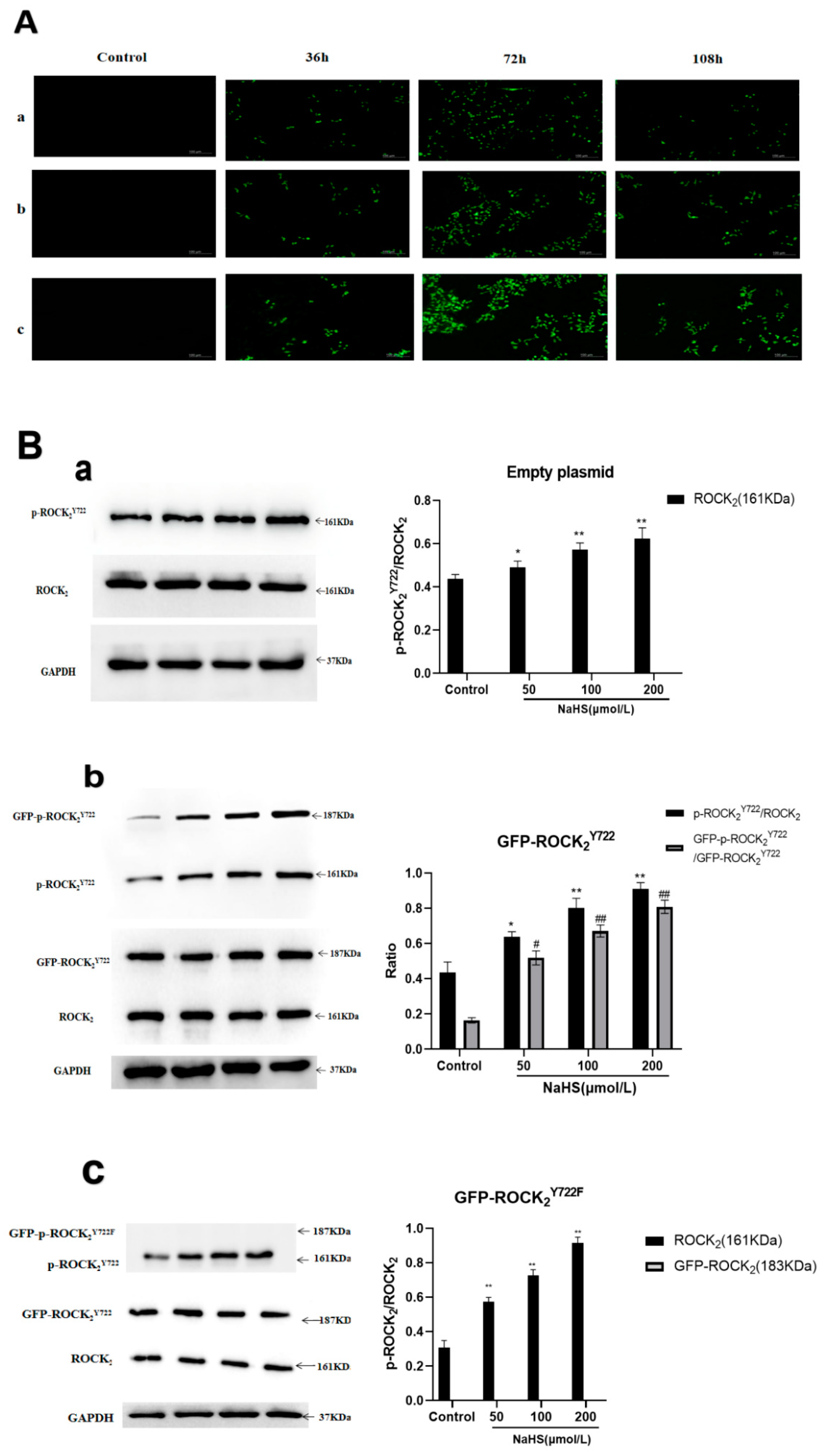 Molecules 27 04567 g003
