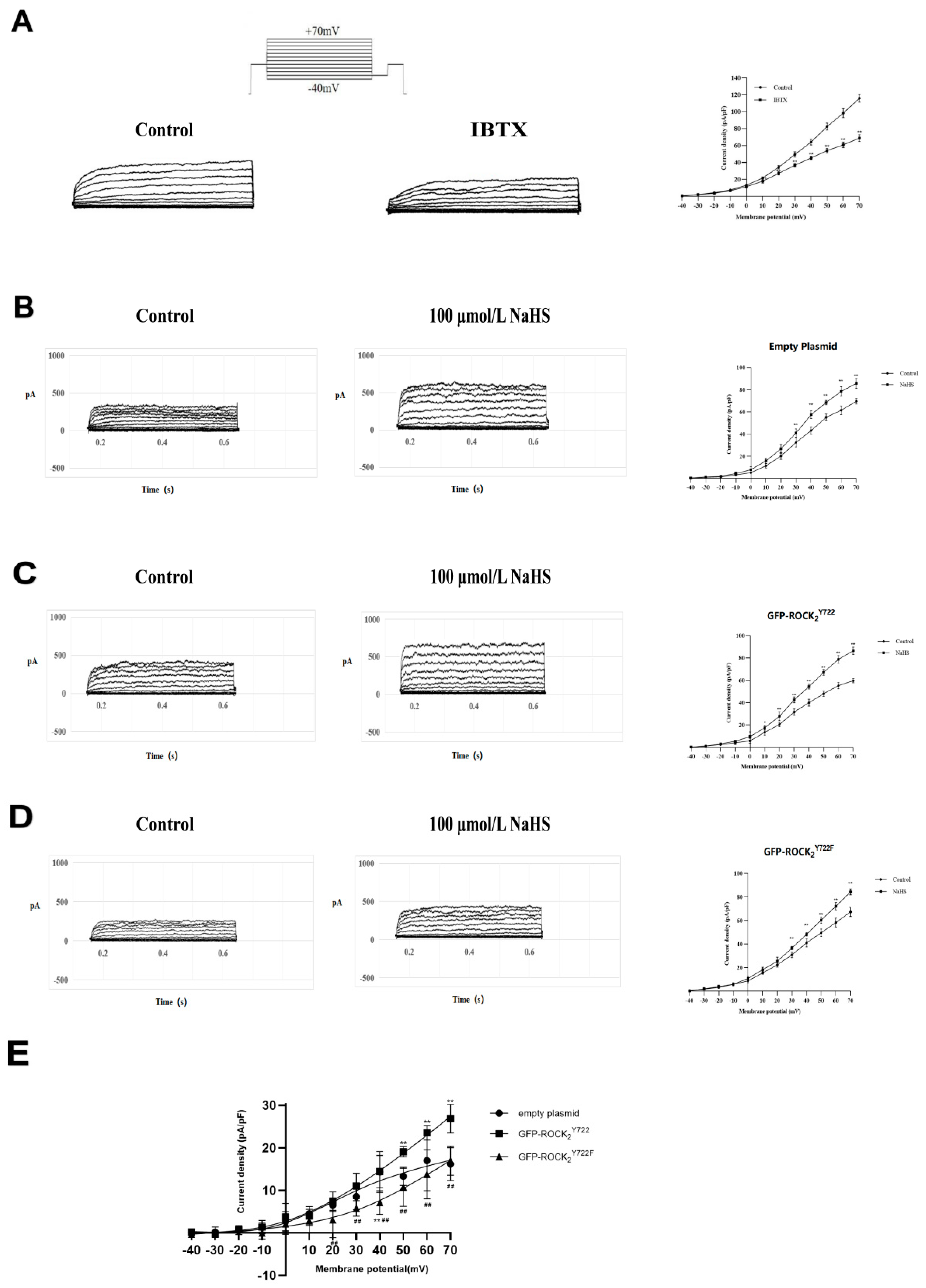 Molecules 27 04567 g006