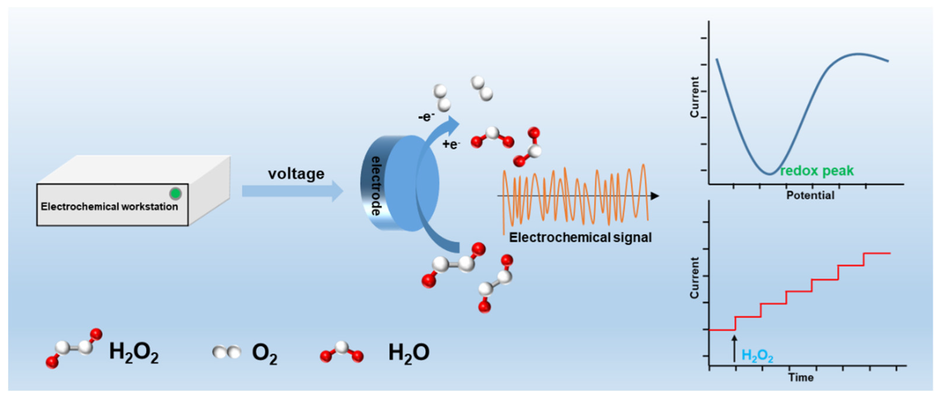 Molecules 27 04571 g002