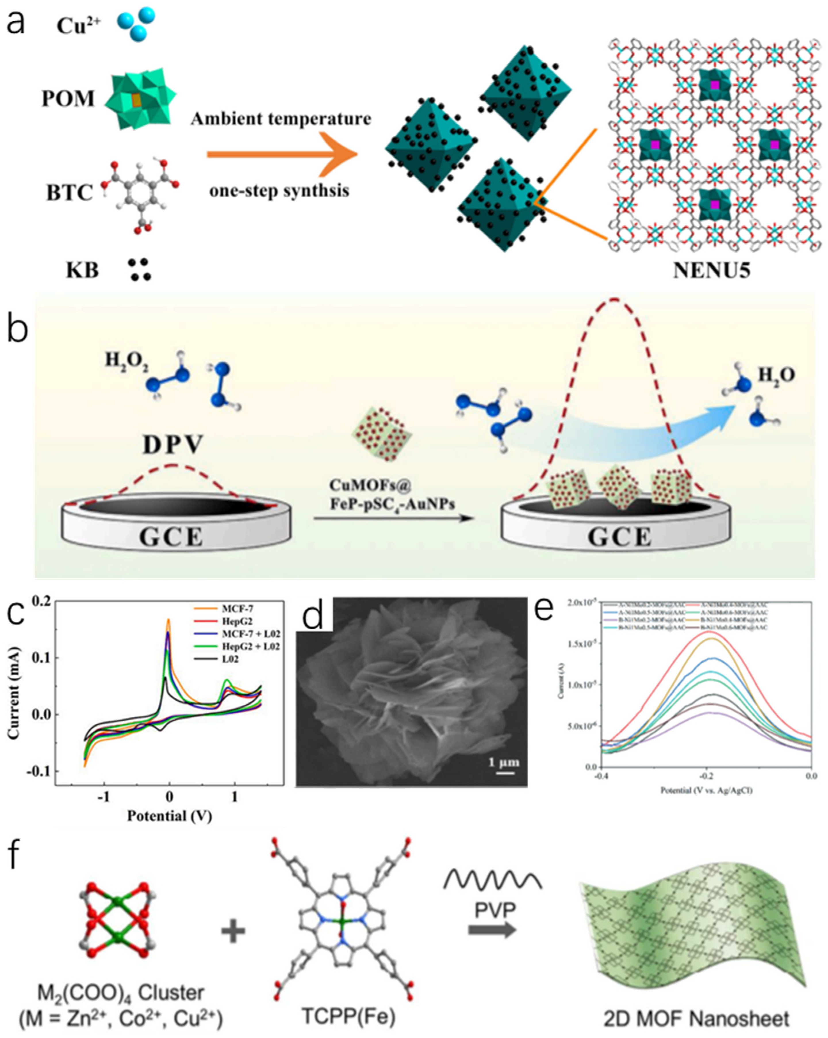 Molecules 27 04571 g004