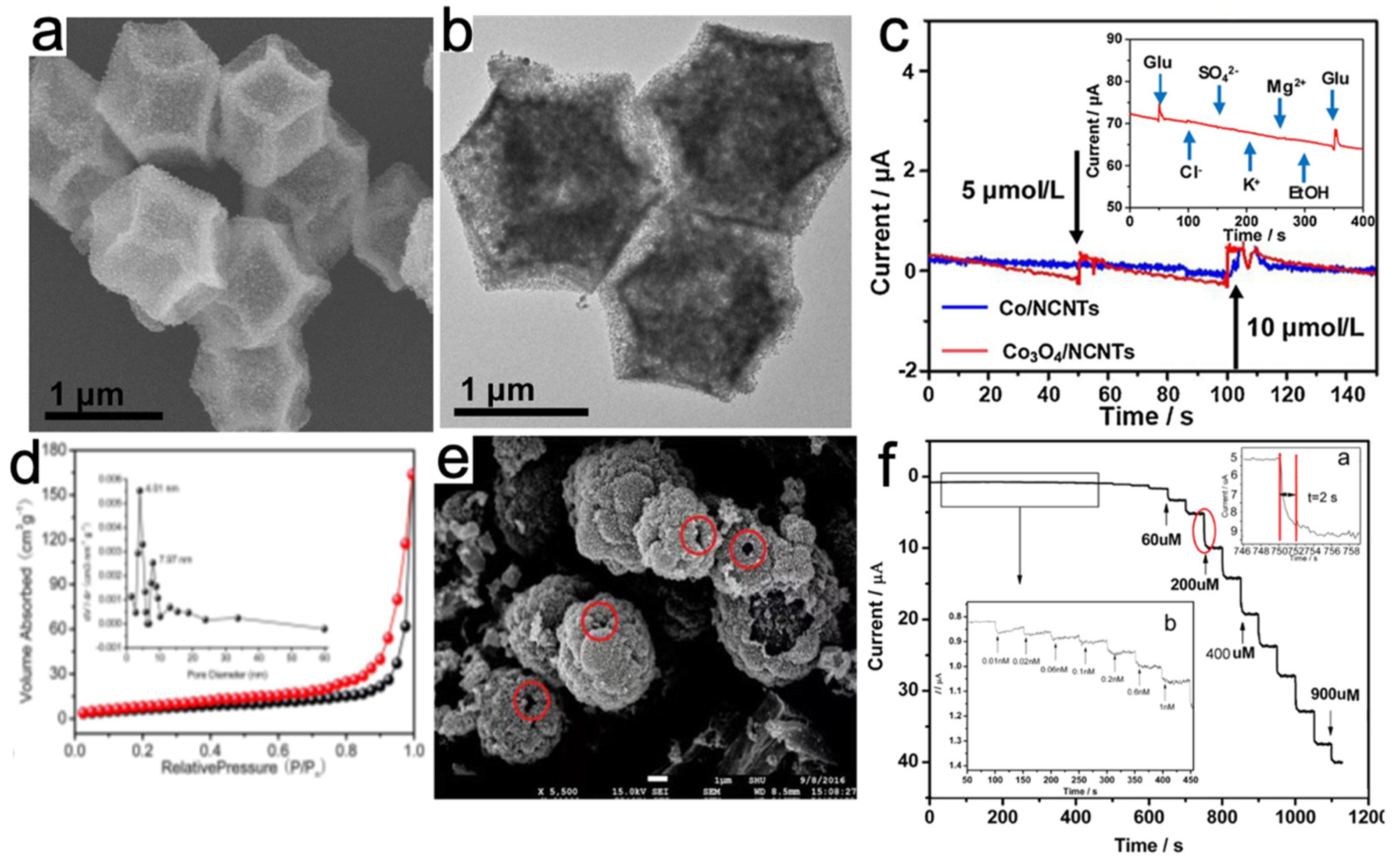 Molecules 27 04571 g006