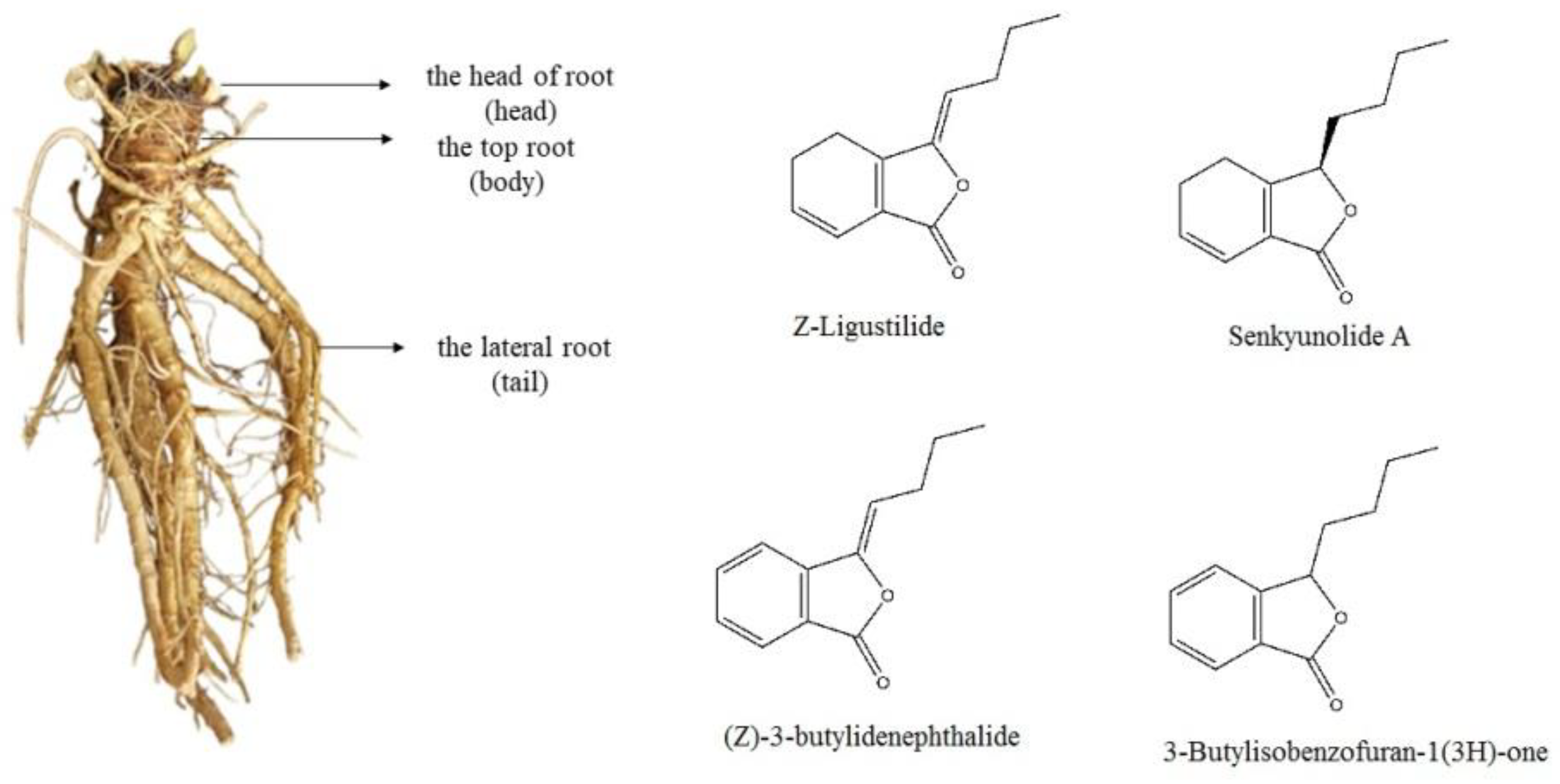 Molecules 27 04617 g001