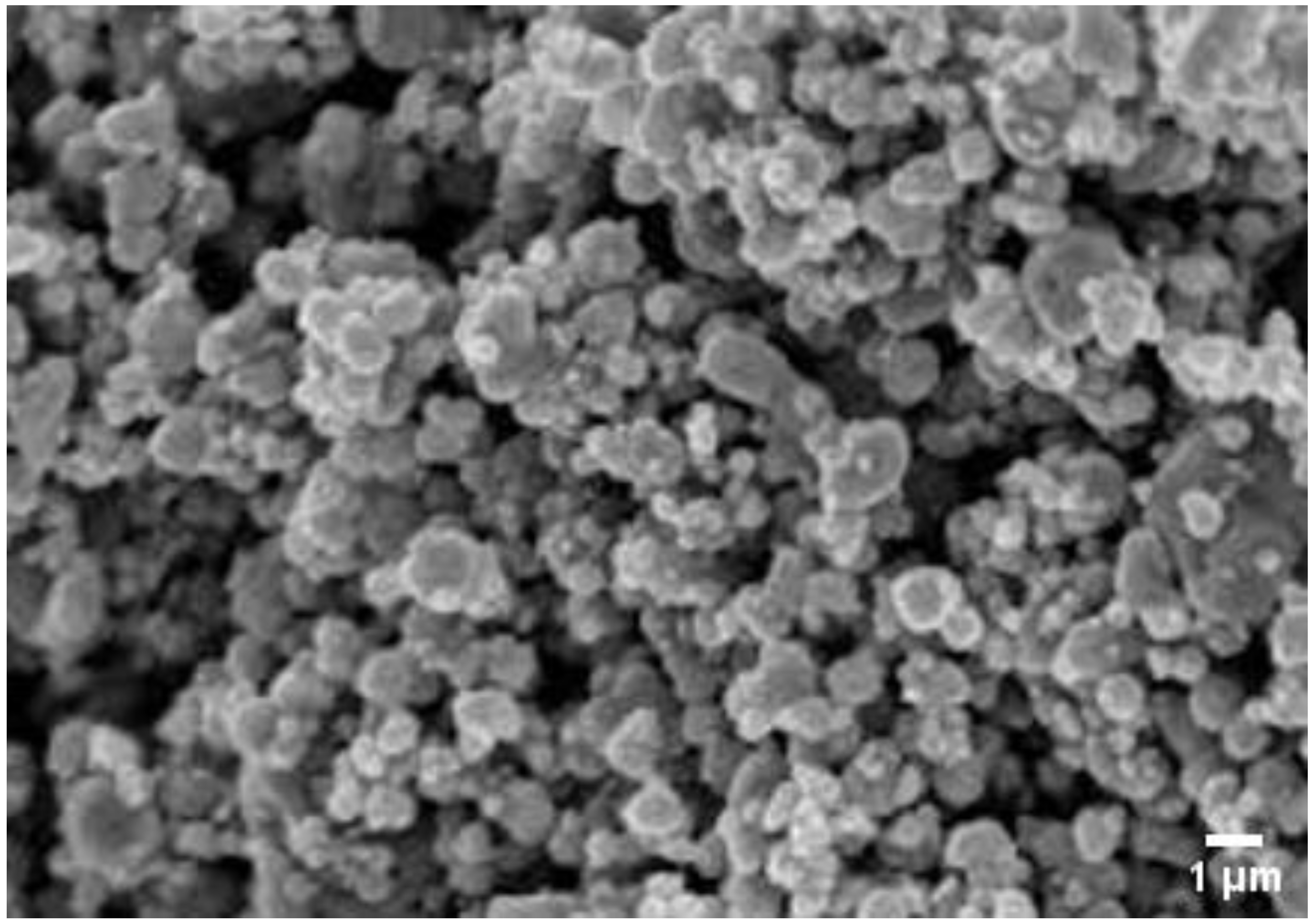 Molecules 27 04618 g004