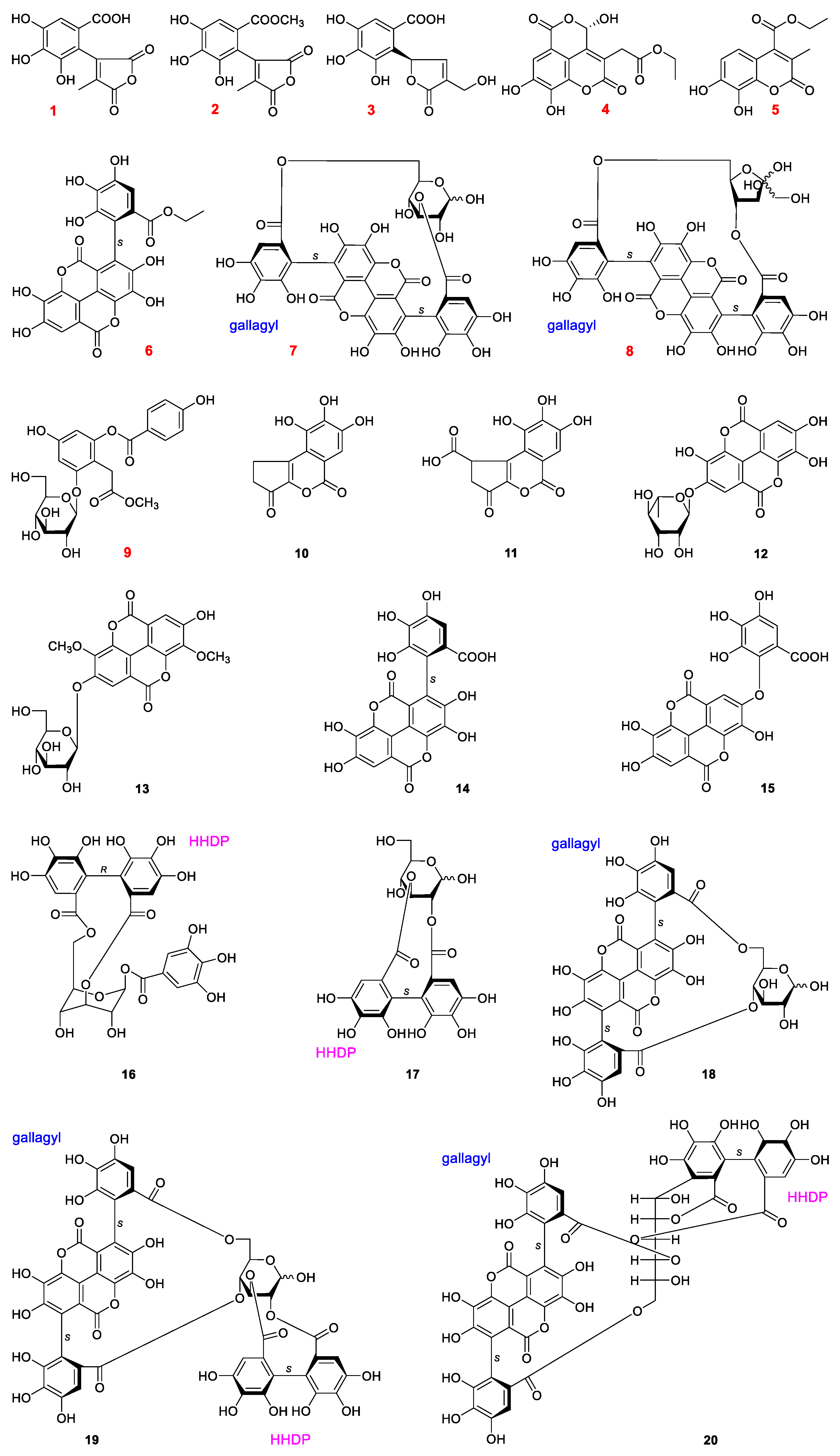 Molecules 27 04622 g001