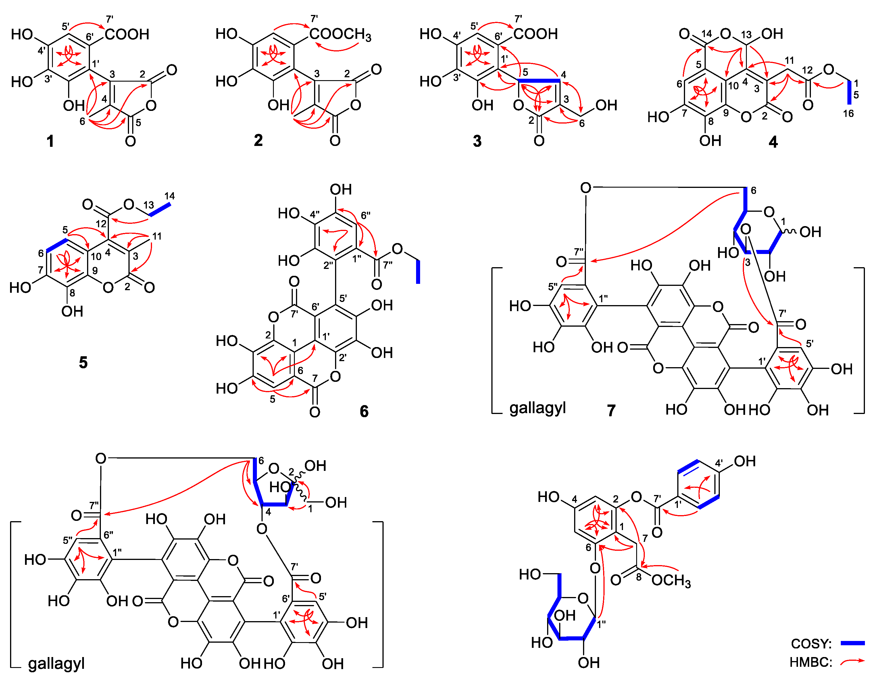 Molecules 27 04622 g002