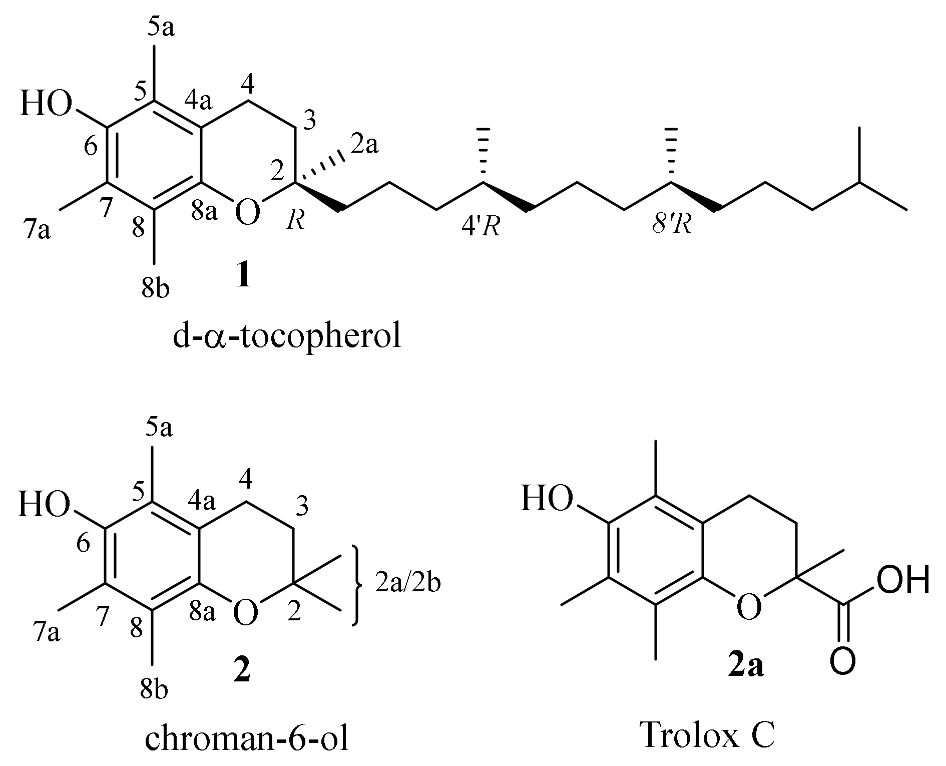 Molecules 27 04630 g001