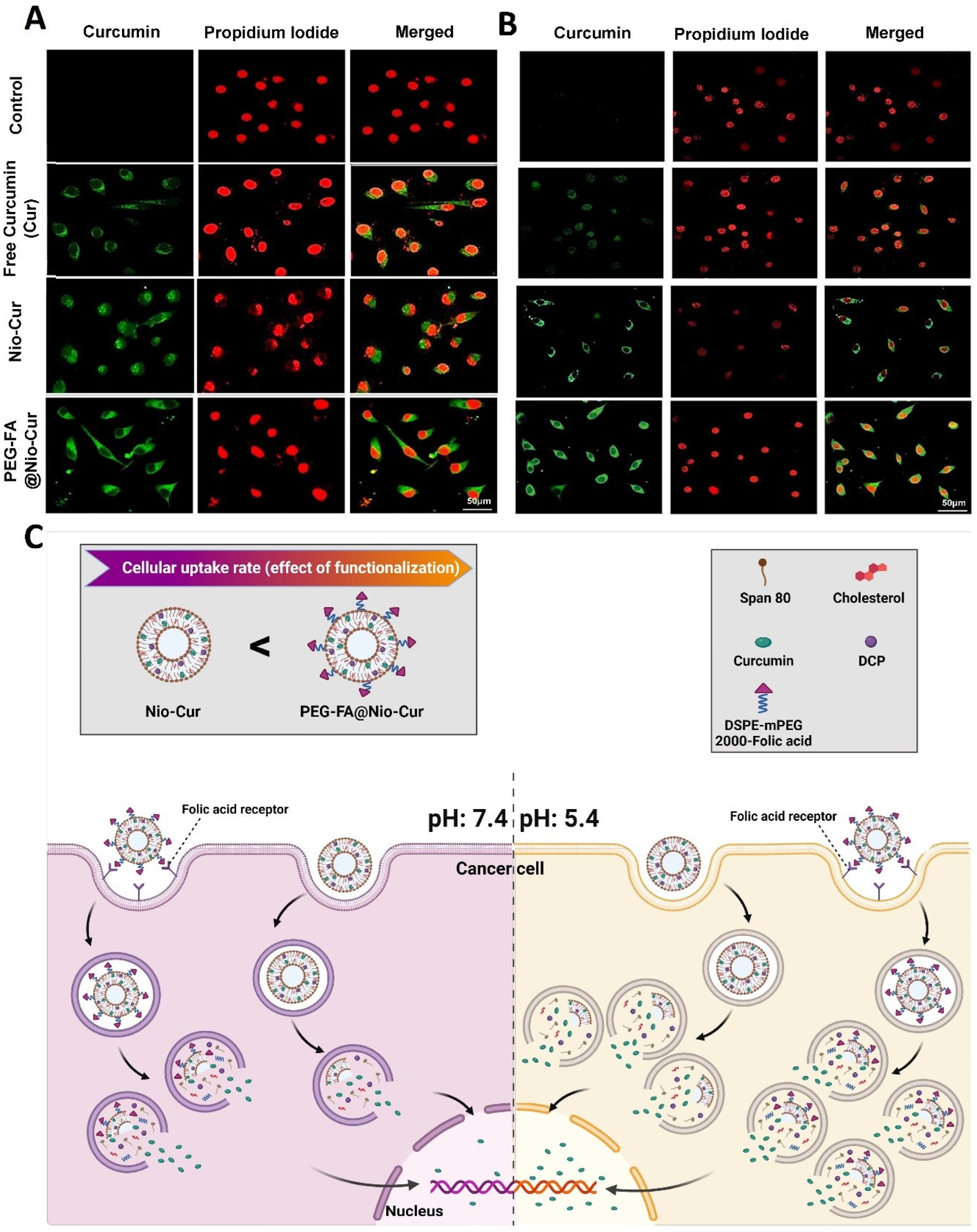 Molecules 27 04634 g008