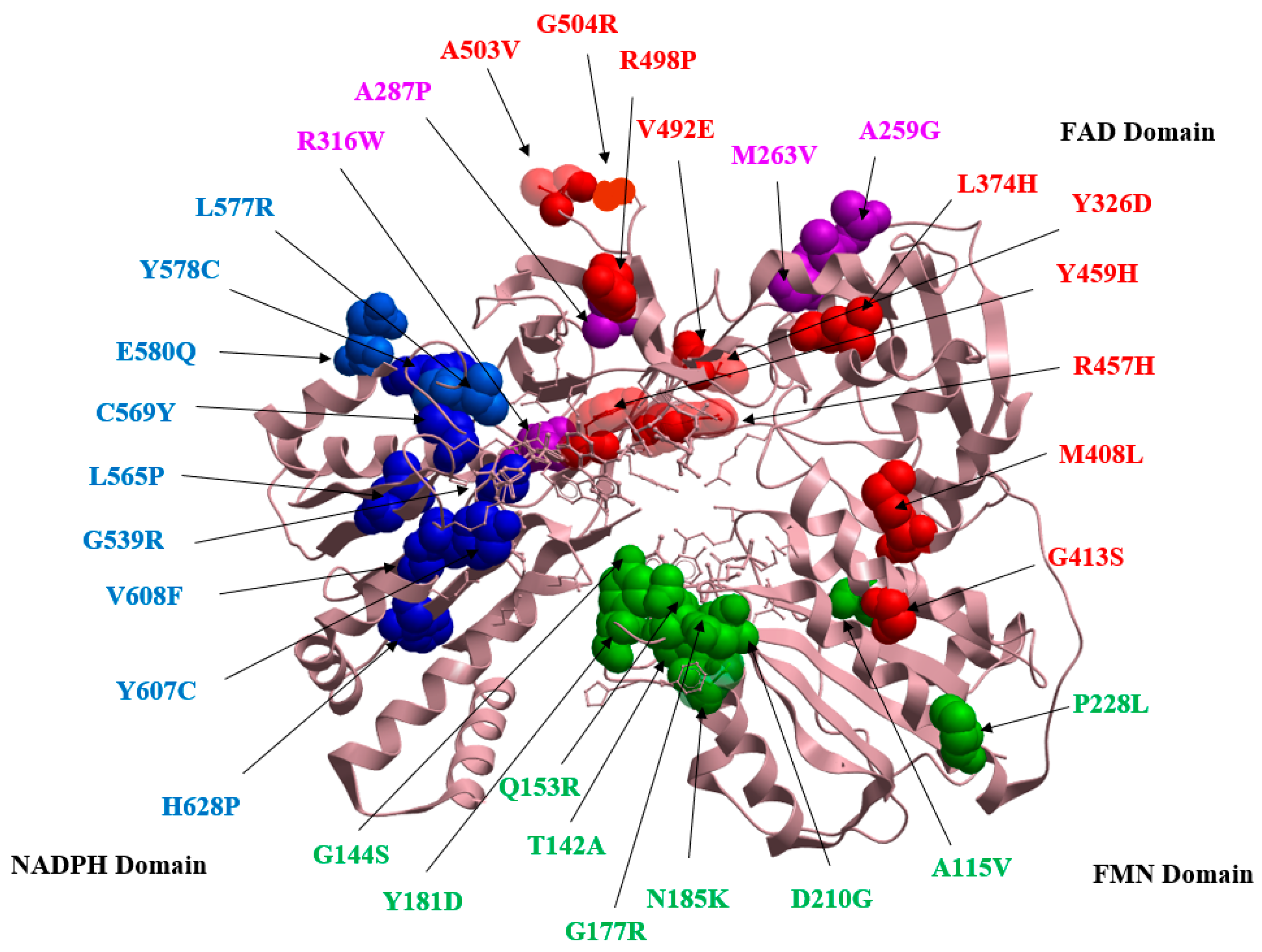 Molecules 27 04646 g005 Molecules 27 04646 g005