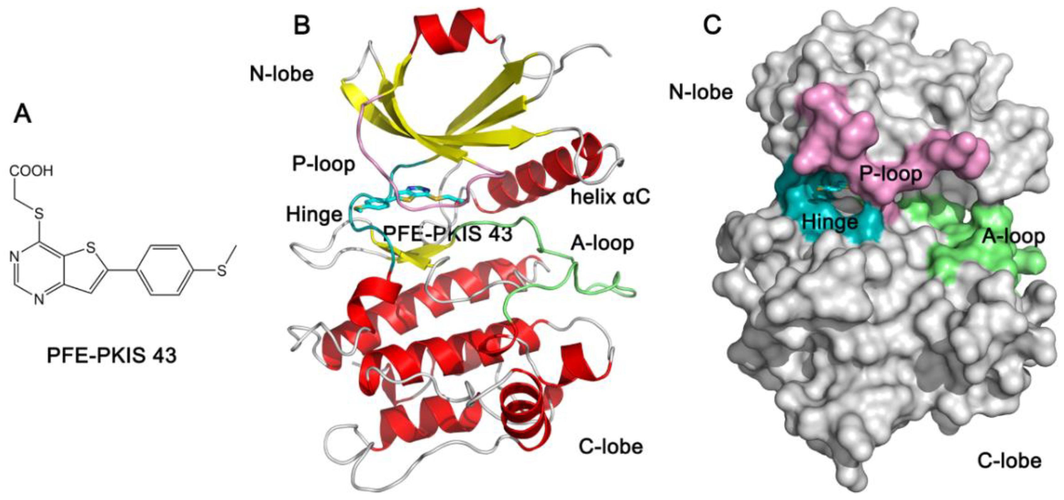 Molecules 27 04655 g001