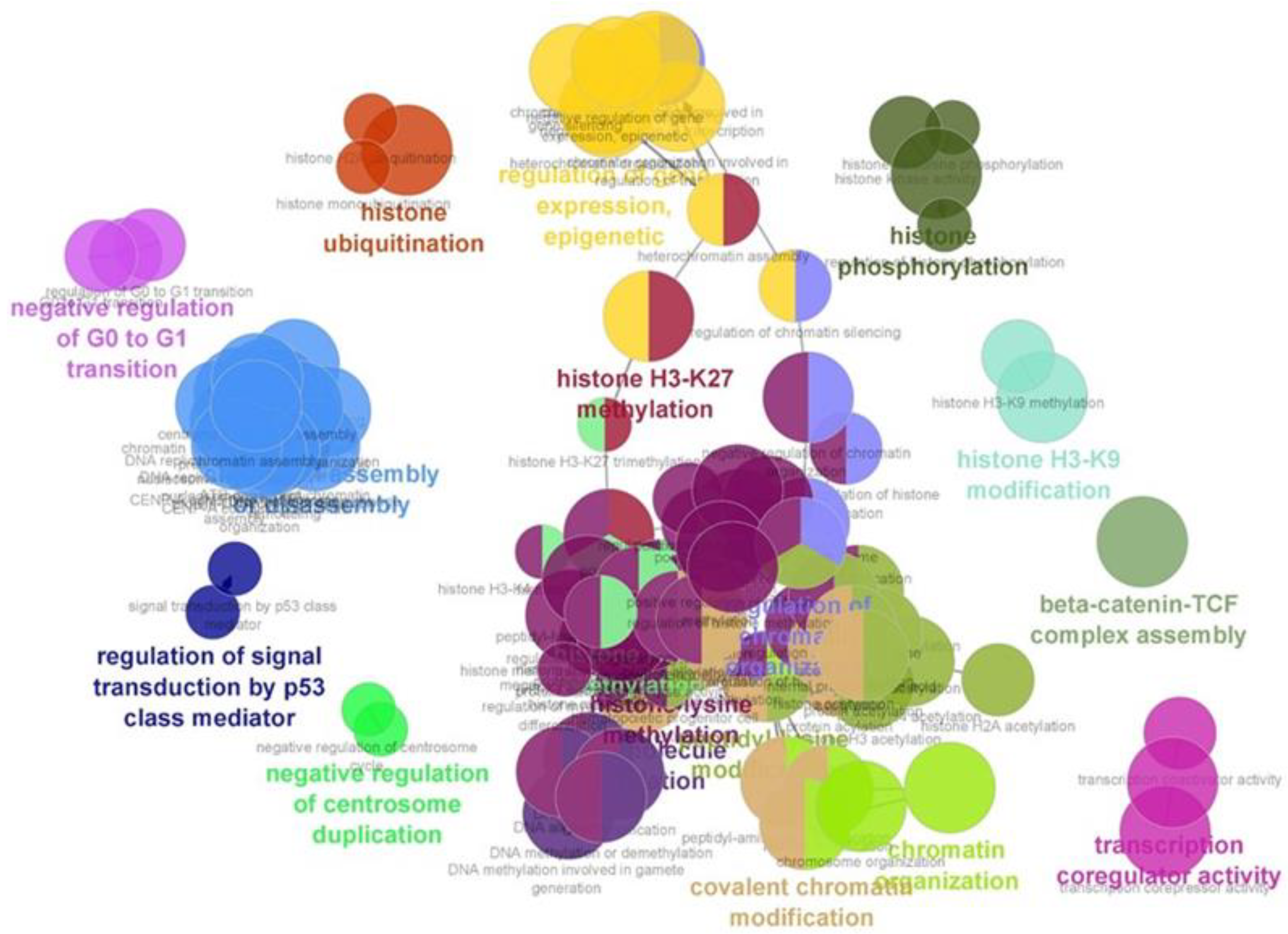 Molecules 27 04666 g005