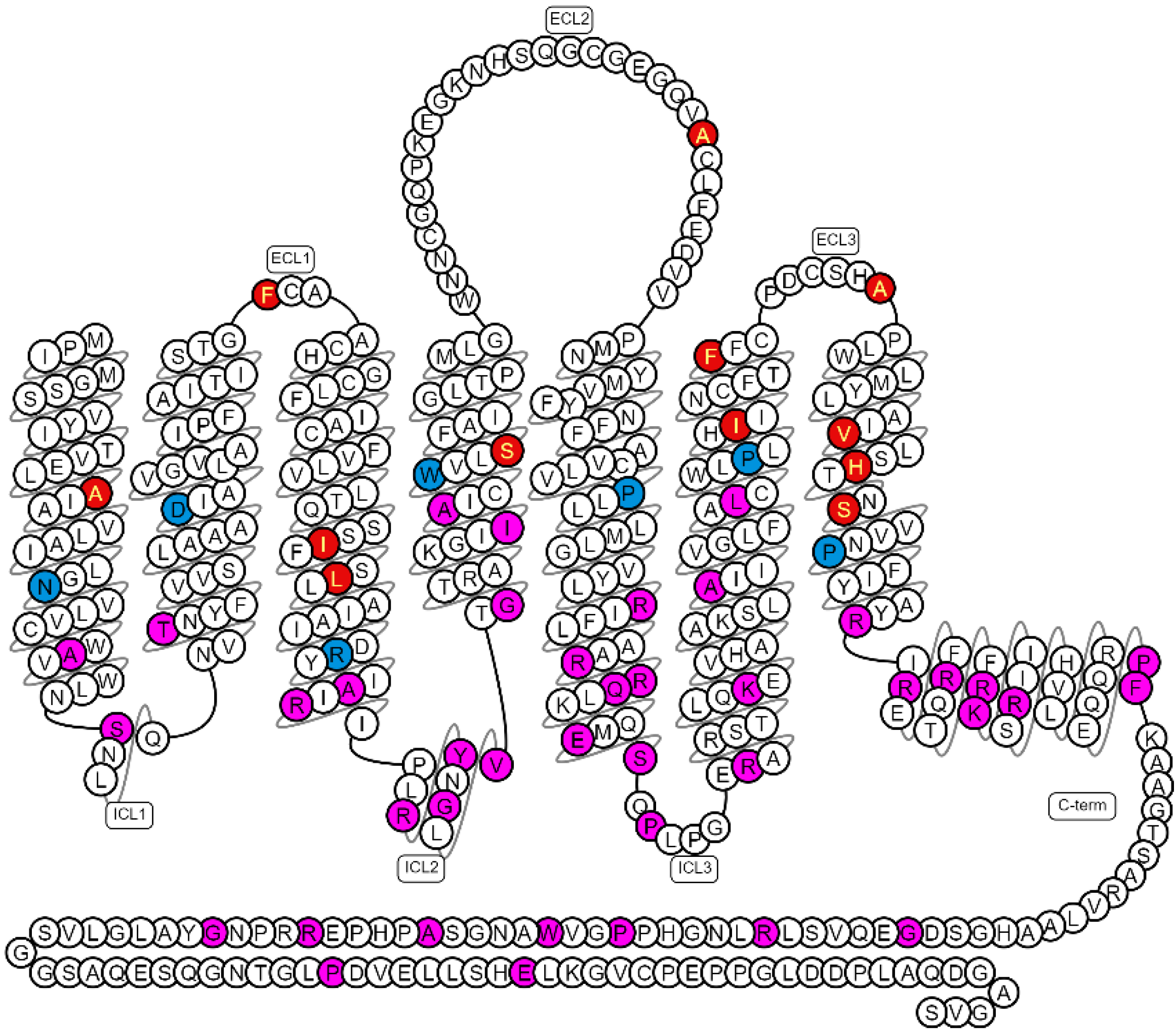 Molecules | Free Full-Text | Cancer-Associated Mutations of the Adenosine  A2A Receptor Have Diverse Influences on Ligand Binding and Receptor  Functions