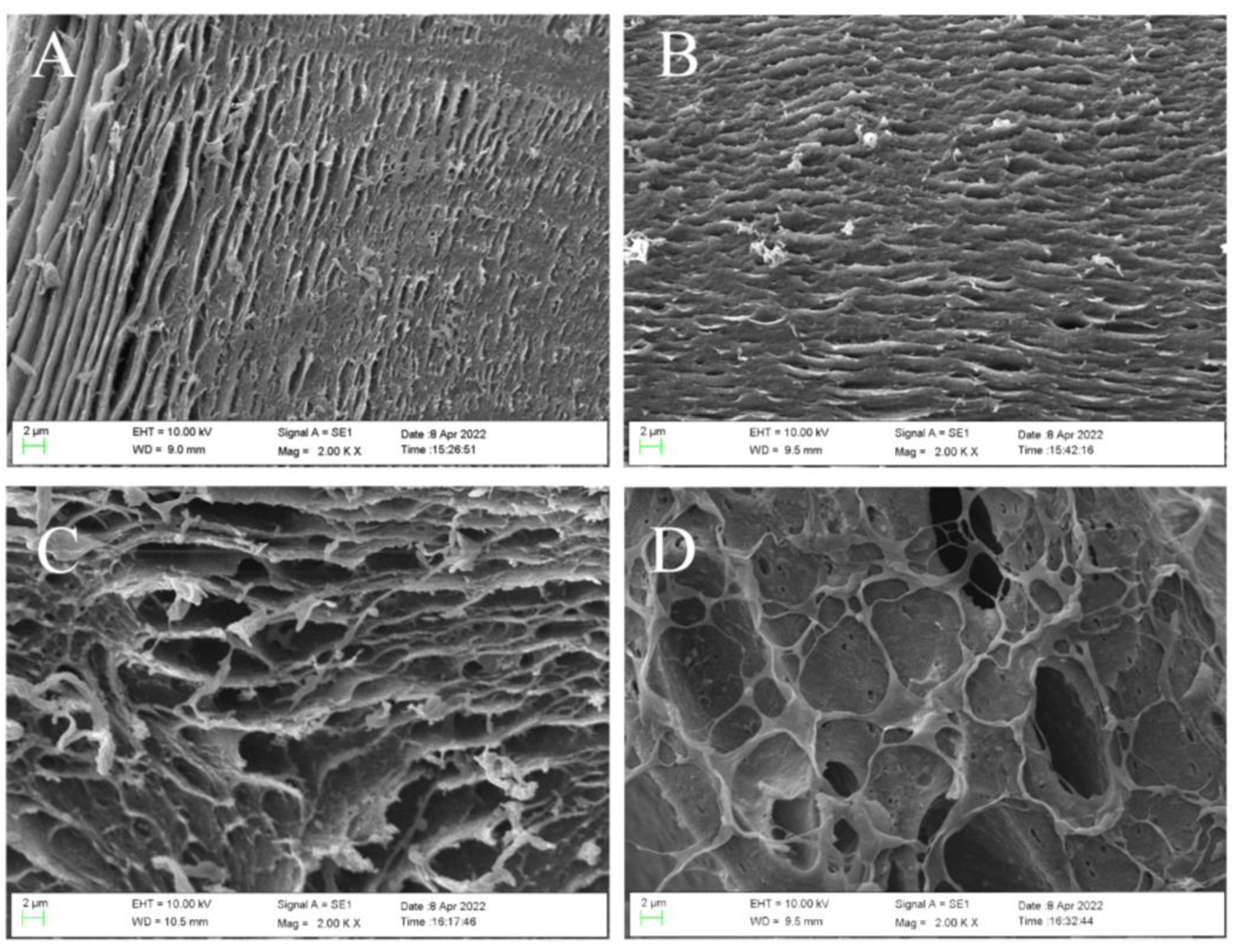 Molecules 27 04686 g001