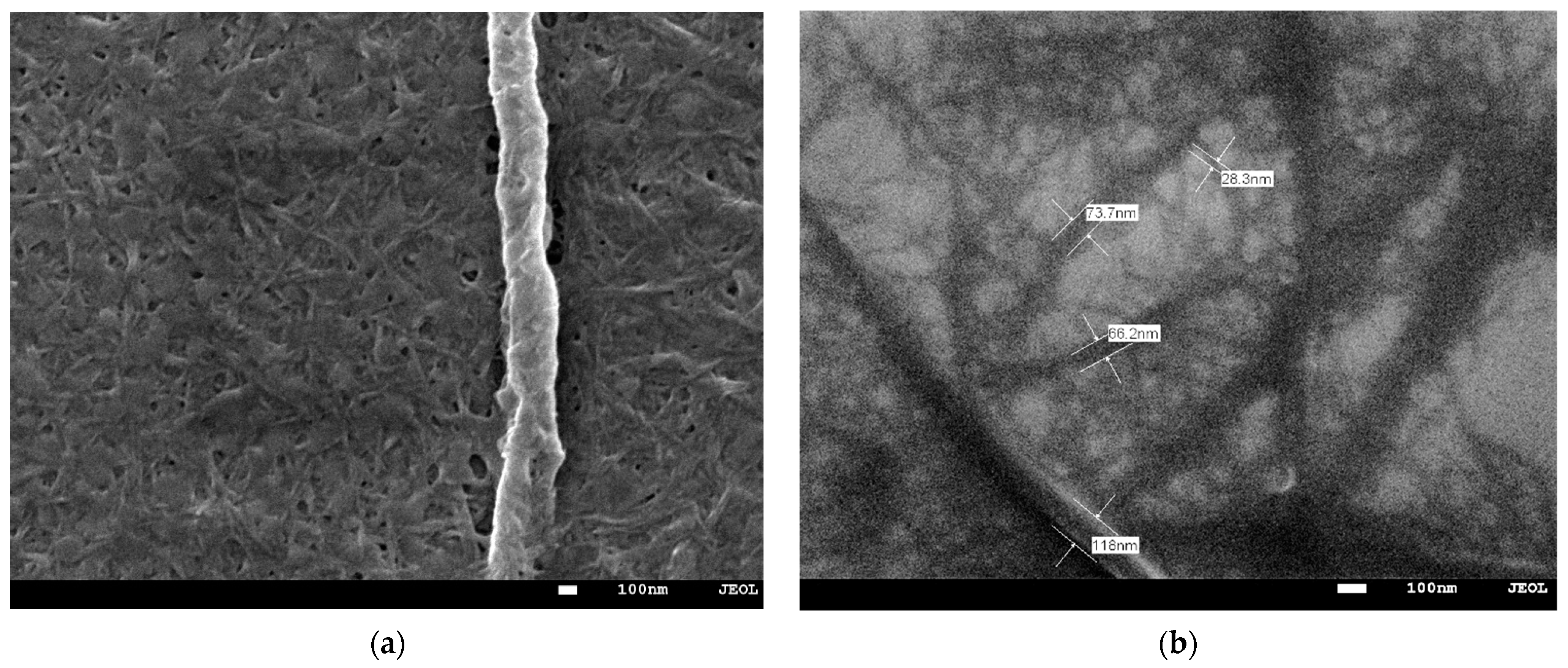 Molecules 27 04696 g001