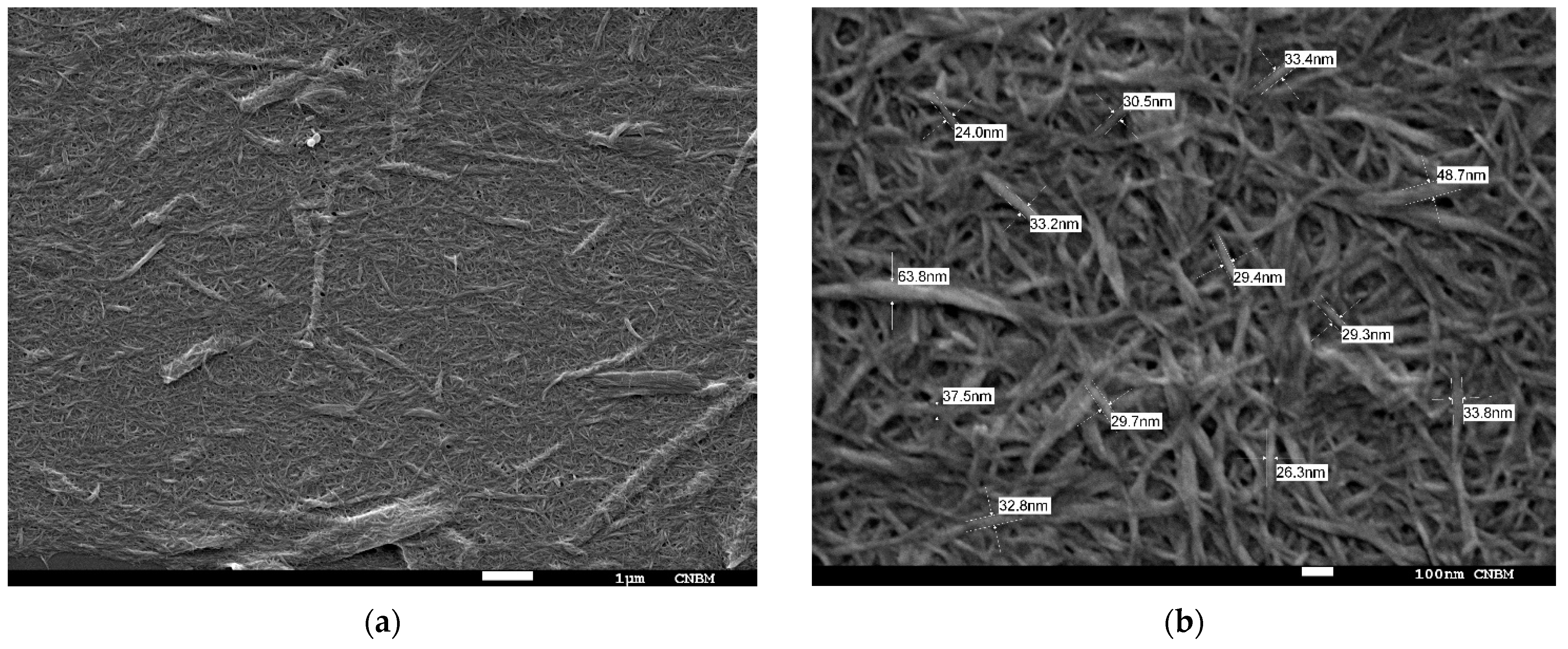 Molecules 27 04696 g002