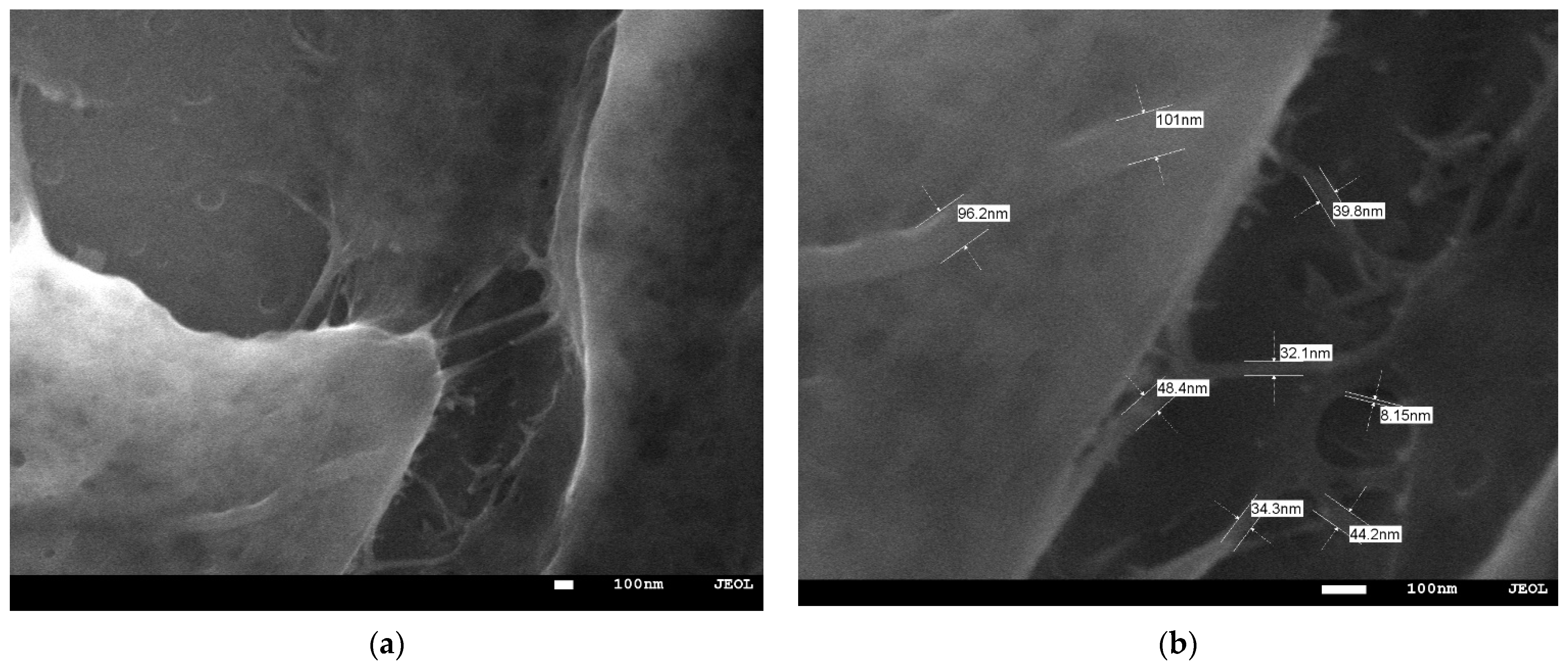 Molecules 27 04696 g003