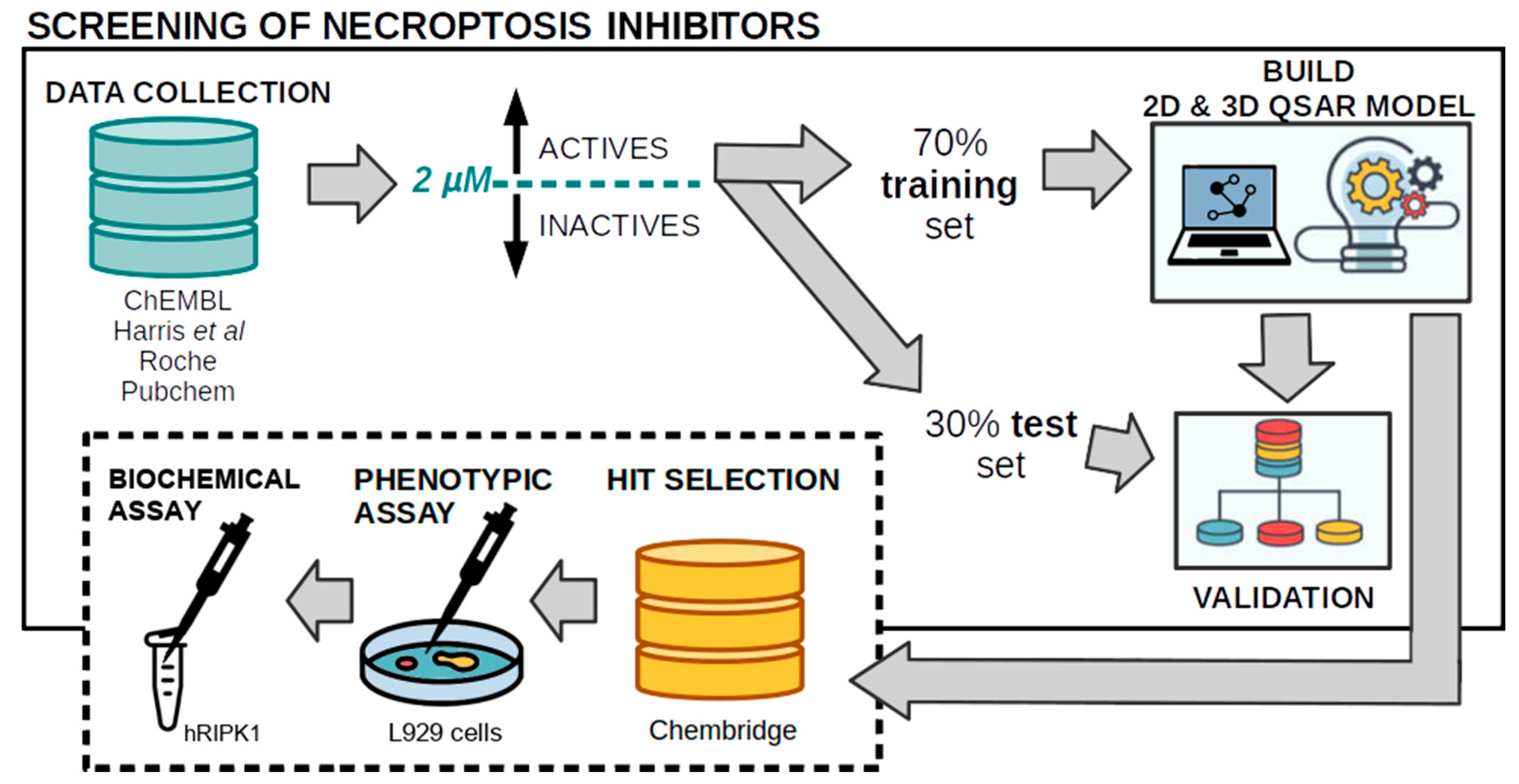 Molecules 27 04718 g004