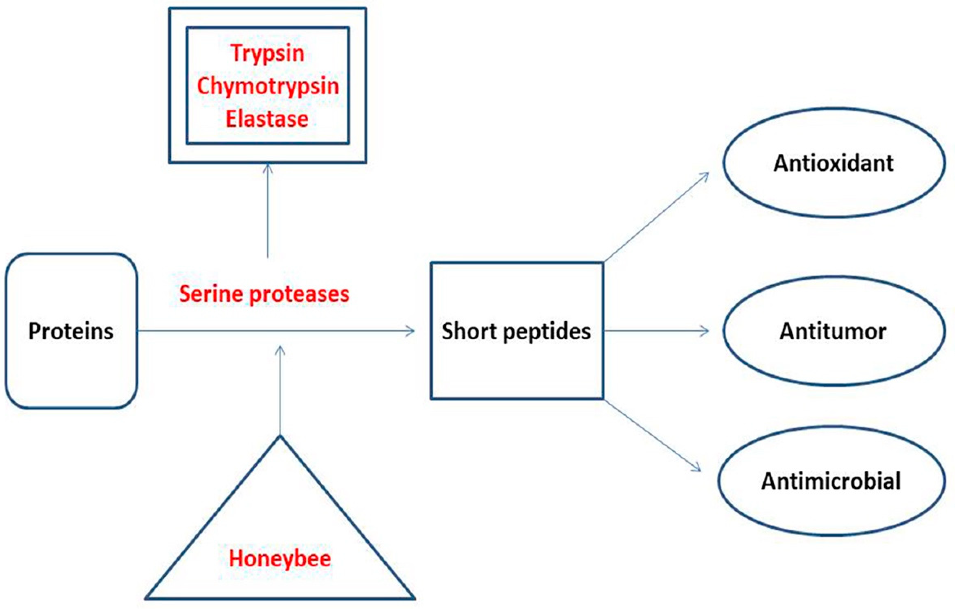 Molecules 27 04719 g002
