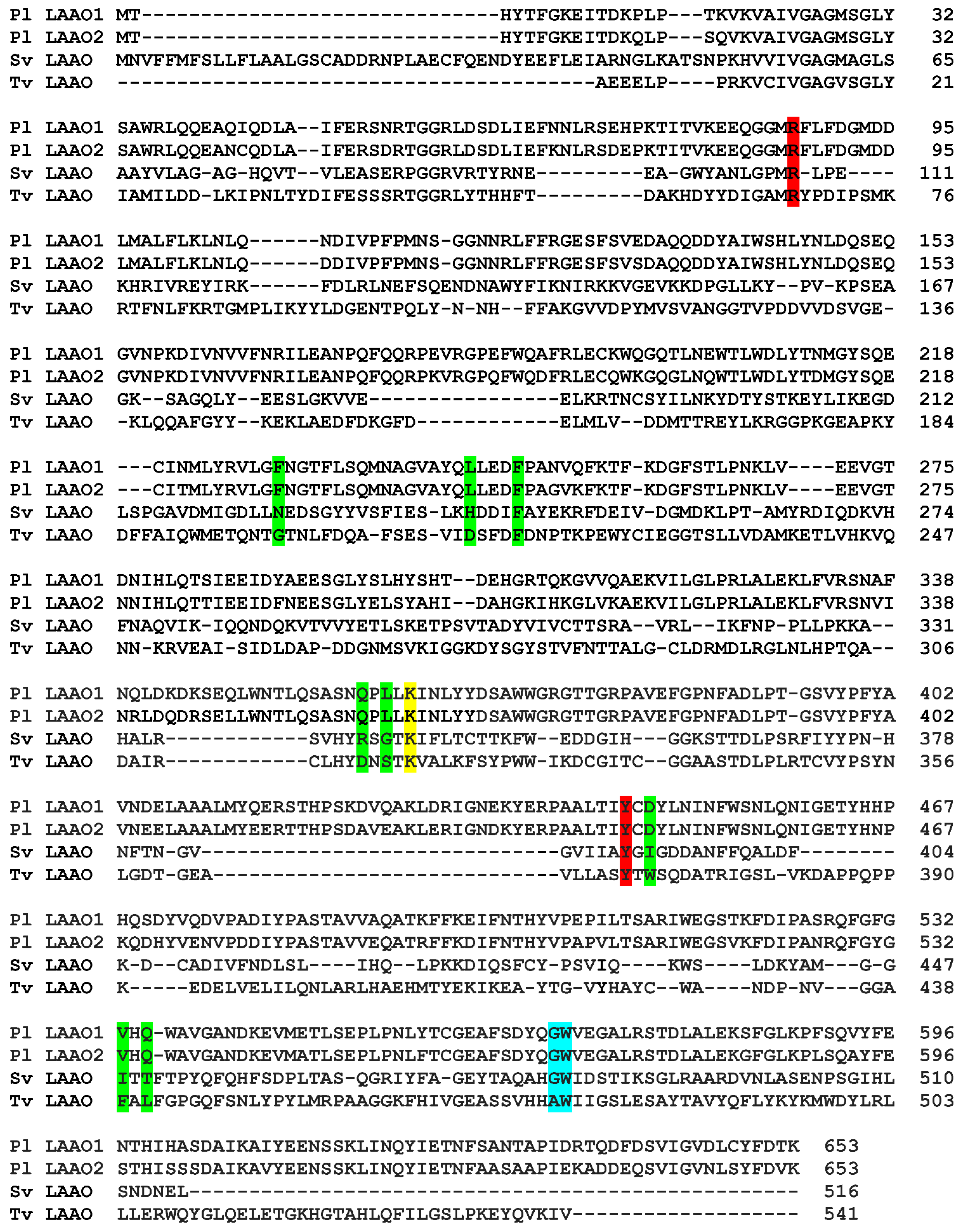 Molecules 27 04726 g005 Molecules 27 04726 g005