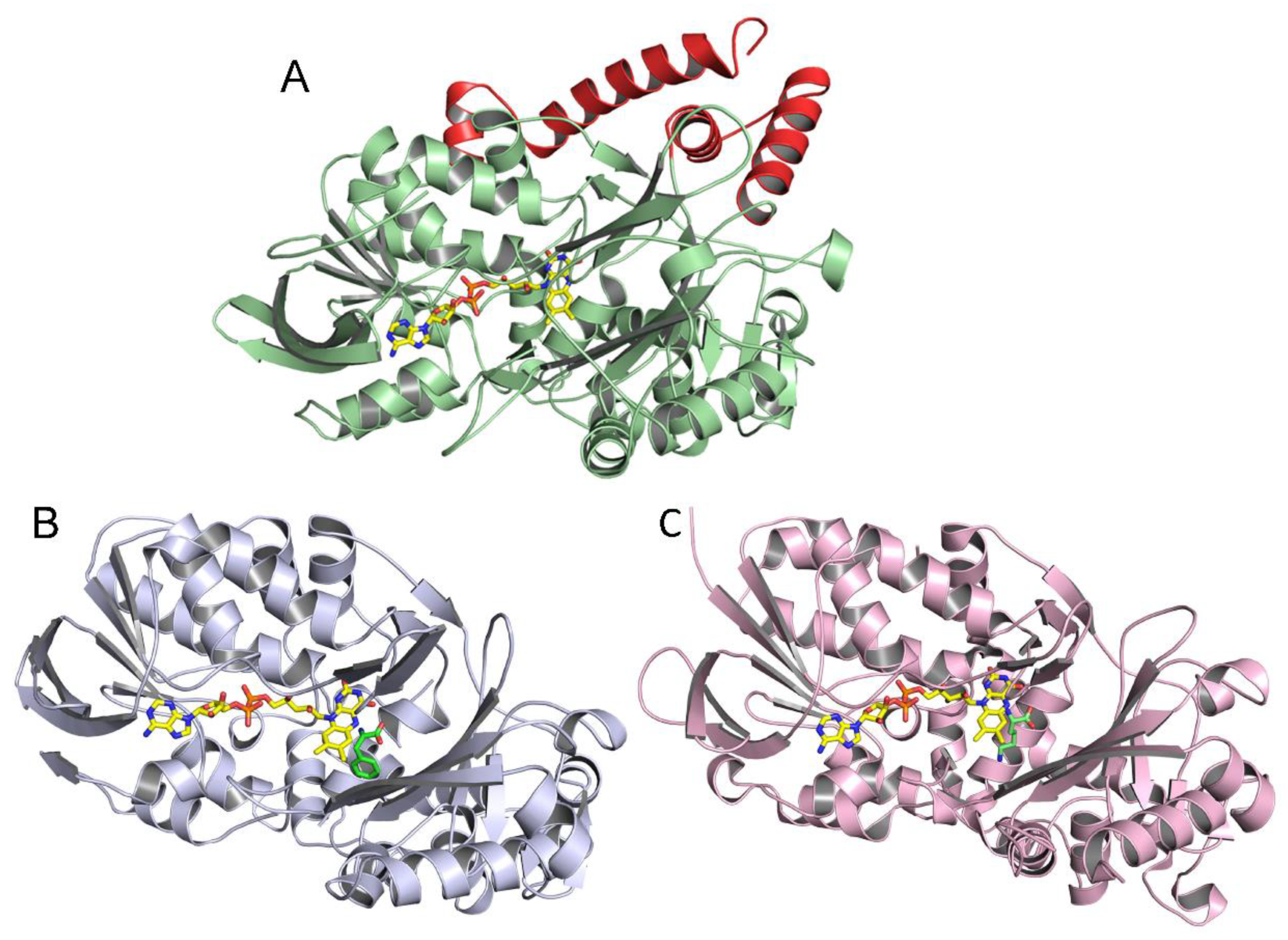 Molecules 27 04726 g006 Molecules 27 04726 g006