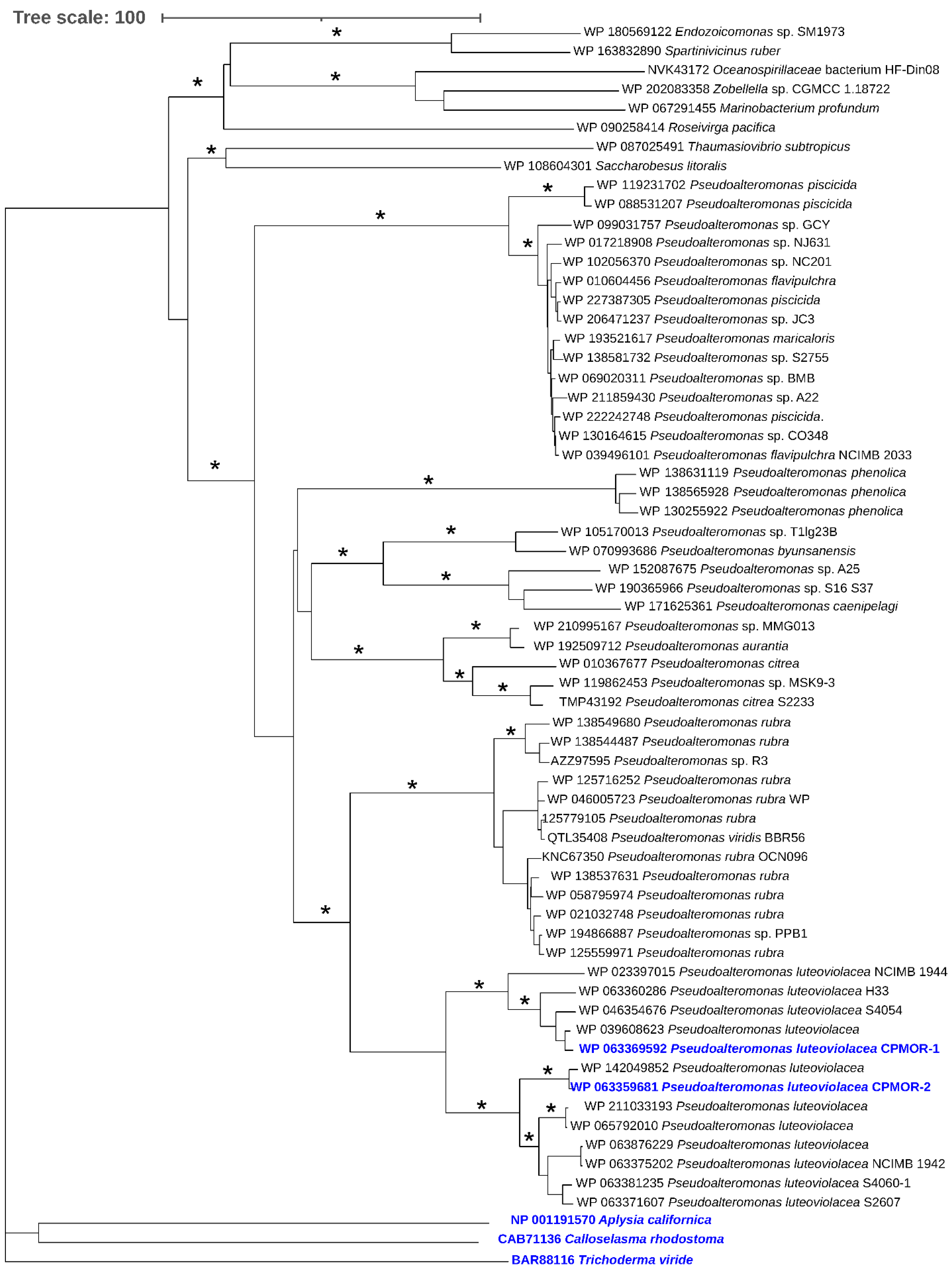 Molecules 27 04726 g009 Molecules 27 04726 g009